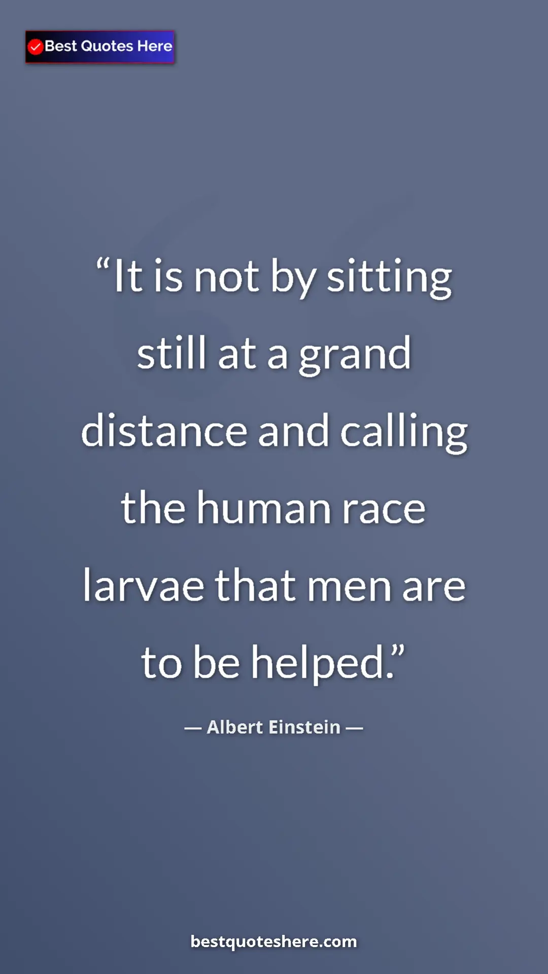 Pinterest quote poster by Albert Einstein: "It is not by sitting still at a grand distance and calling..."