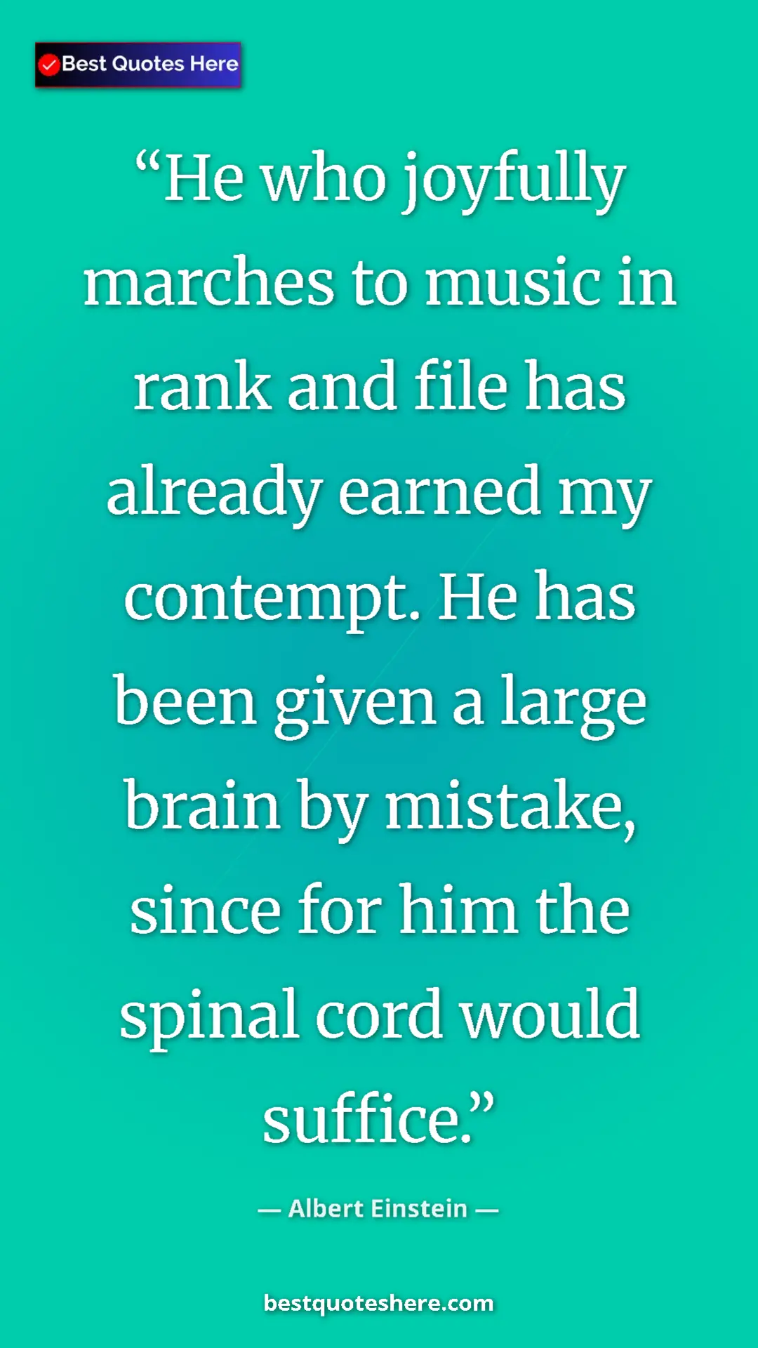Pinterest quote poster by Albert Einstein: "He who joyfully marches to music in rank and file has..."