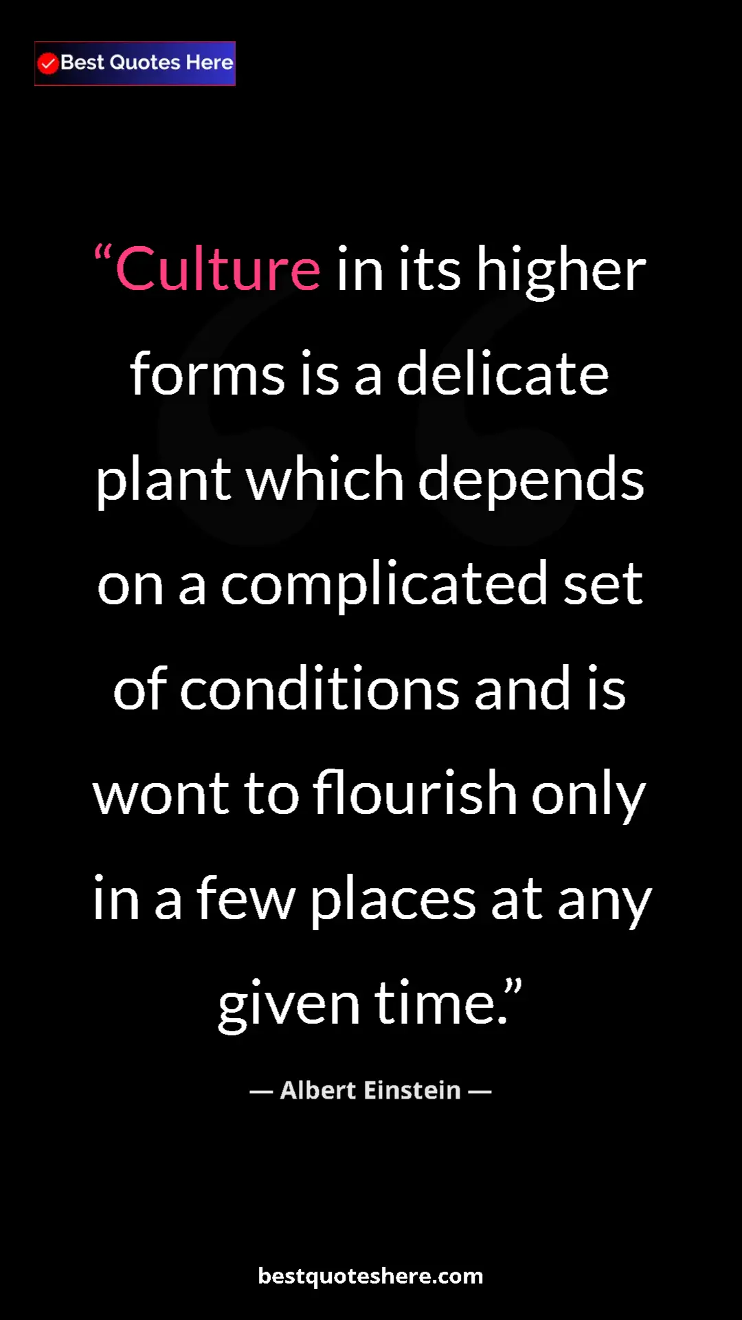 Pinterest quote poster by Albert Einstein: "Culture in its higher forms is a delicate plant which..."