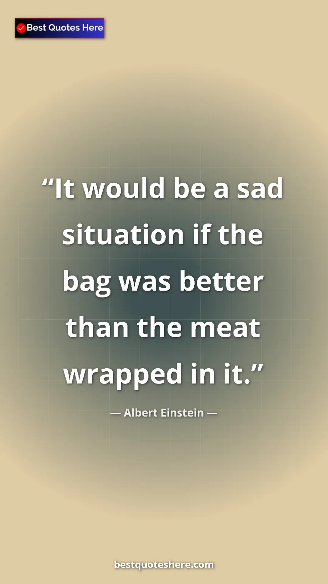 Pinterest quote poster by Albert Einstein: "It would be a sad situation if the bag was better than the..."