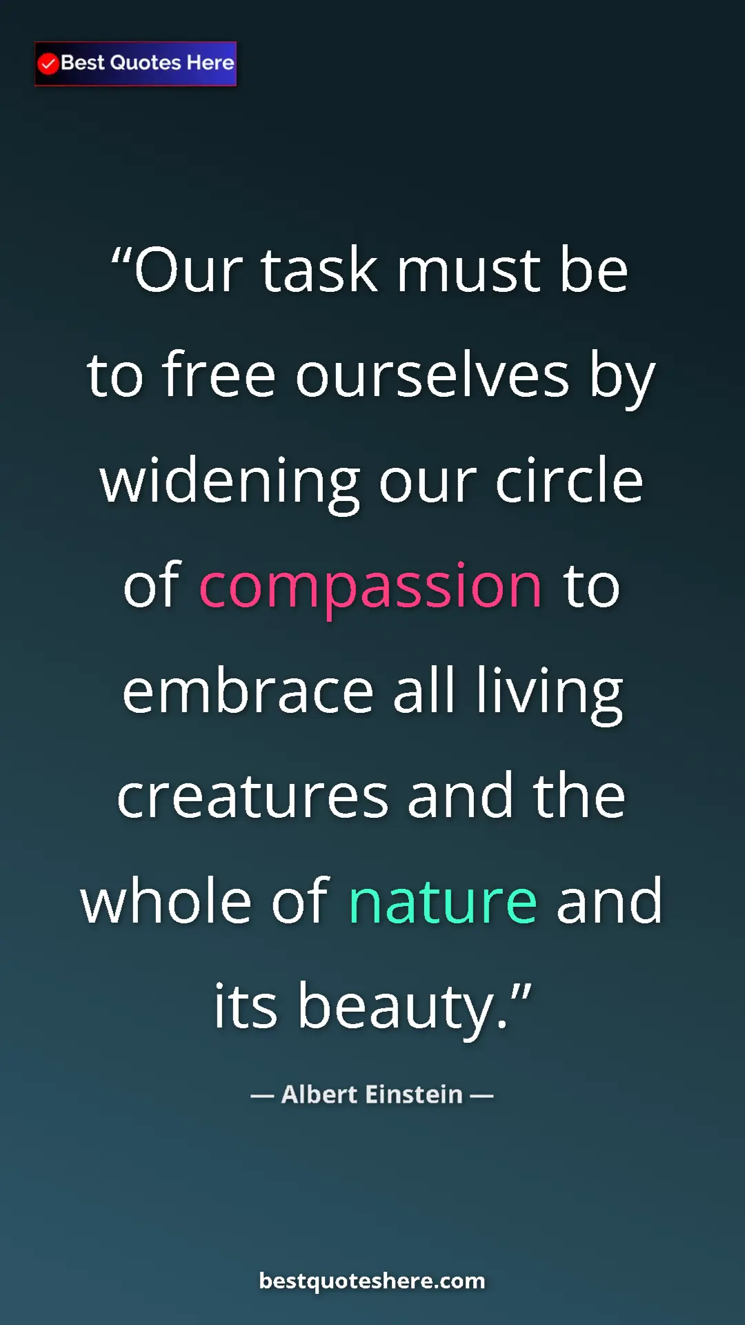 Pinterest quote poster by Albert Einstein: "Our task must be to free ourselves by widening our circle..."