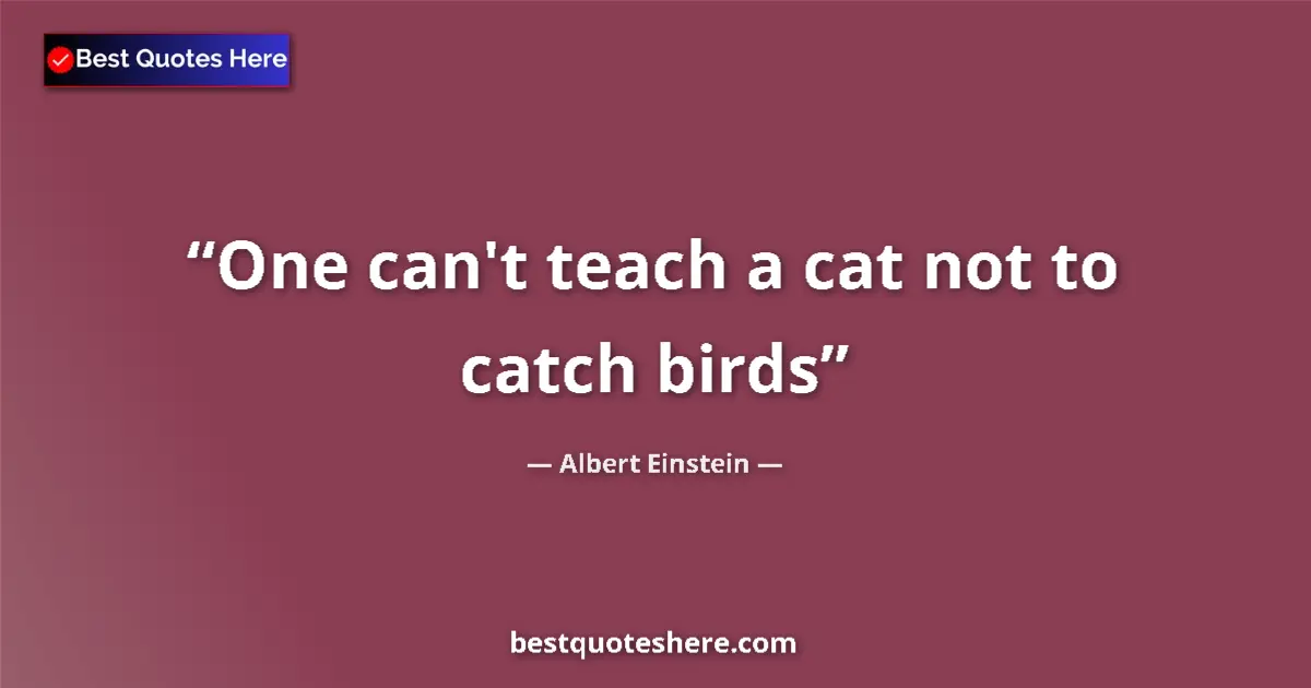 Quote by Albert Einstein: One can't teach a cat not to catch birds