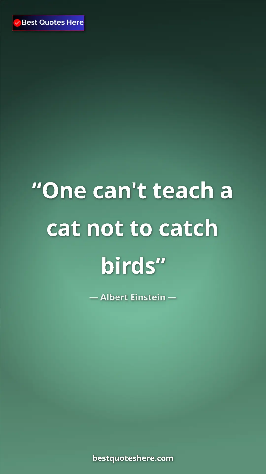 Pinterest quote poster by Albert Einstein: "One can't teach a cat not to catch birds"