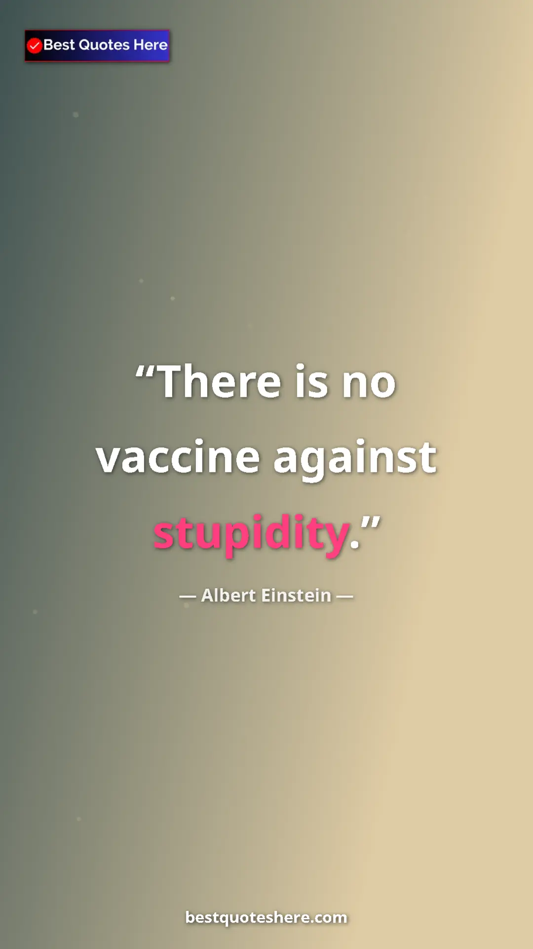 Pinterest quote poster by Albert Einstein: "There is no vaccine against stupidity."