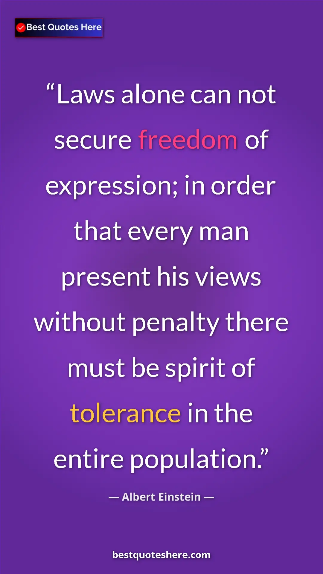 Pinterest quote poster by Albert Einstein: "Laws alone can not secure freedom of expression; in order..."