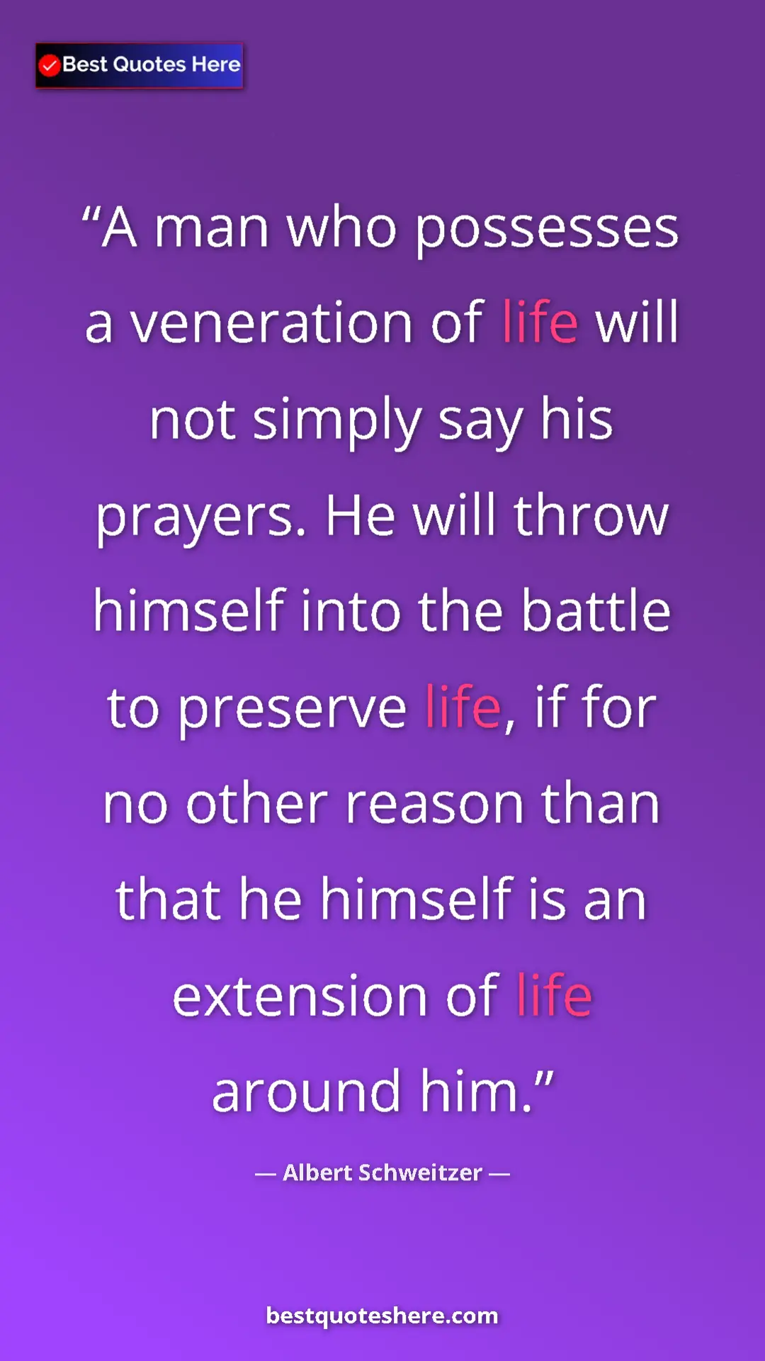 Albert Schweitzer Quote Card: "A man who possesses a veneration of life will not simply..." Pinterest quote poster by Albert Schweitzer: "A man who possesses a veneration of life will not simply..."