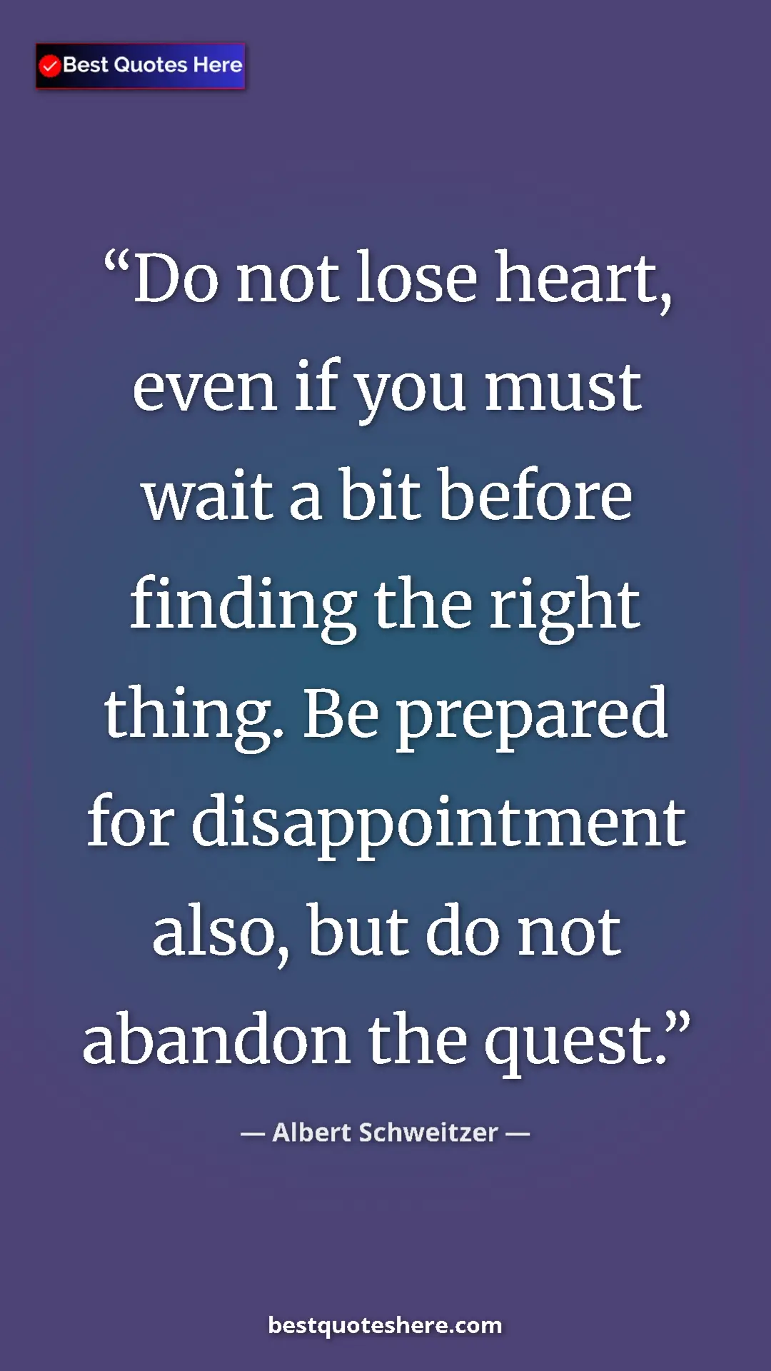 Pinterest quote poster by Albert Schweitzer: "Do not lose heart, even if you must wait a bit before..."
