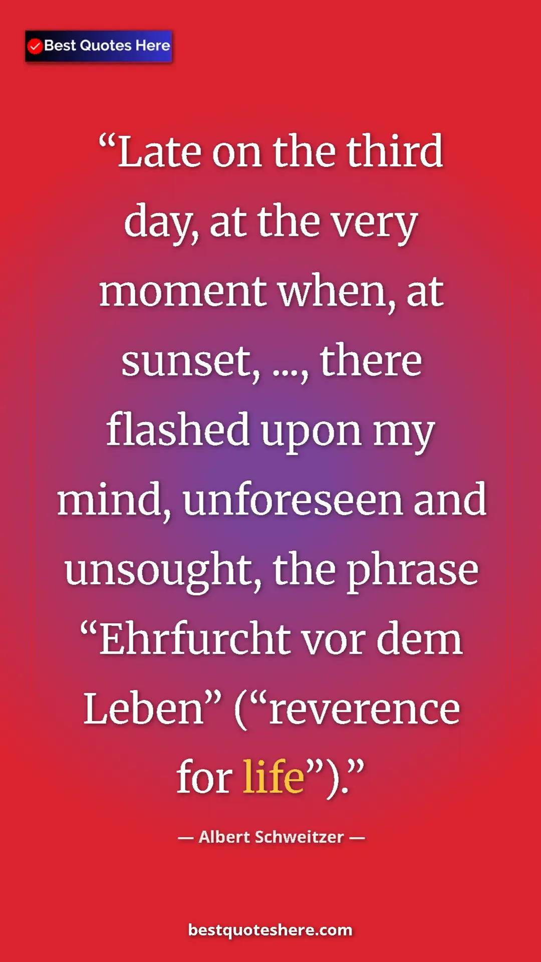 Pinterest quote poster by Albert Schweitzer: "Late on the third day, at the very moment when, at sunset,..."