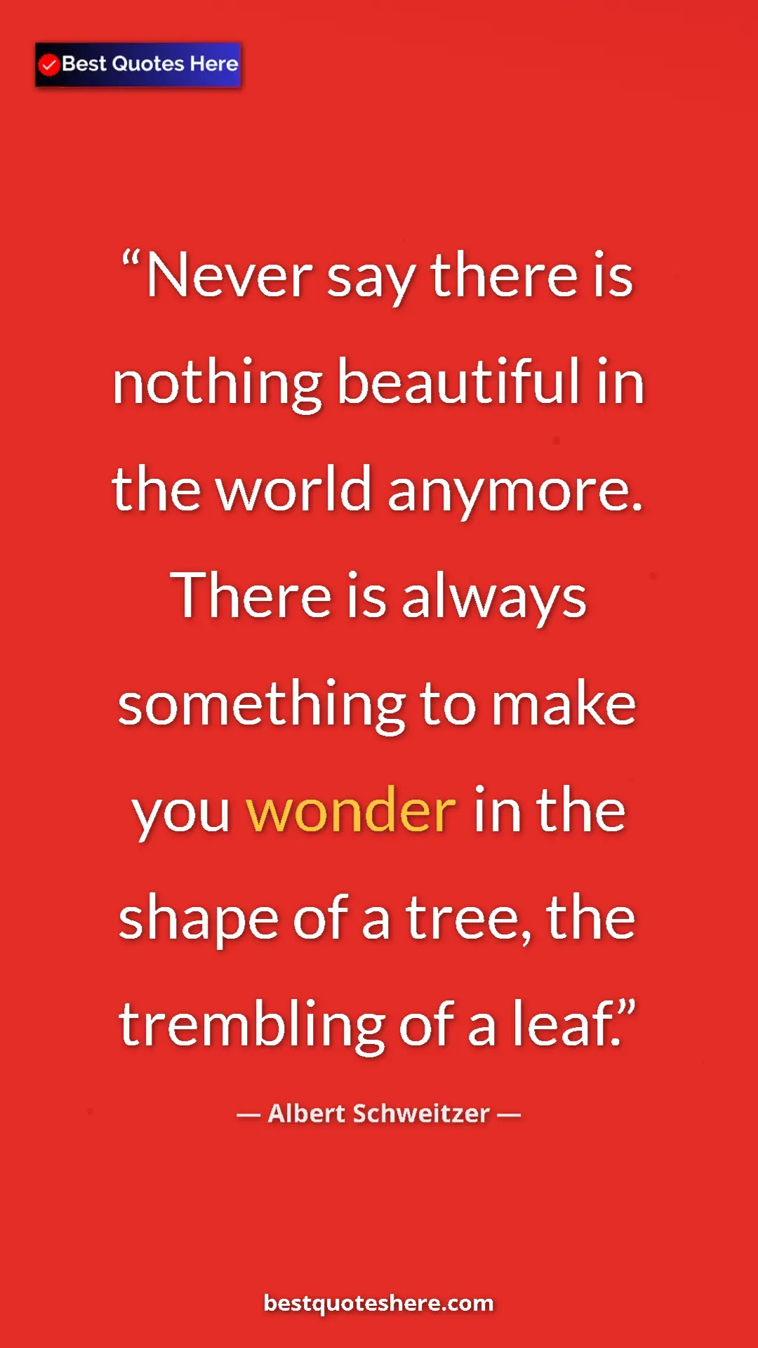 Albert Schweitzer Quote Card: "Never say there is nothing beautiful in the world anymore...." Pinterest quote poster by Albert Schweitzer: "Never say there is nothing beautiful in the world anymore...."
