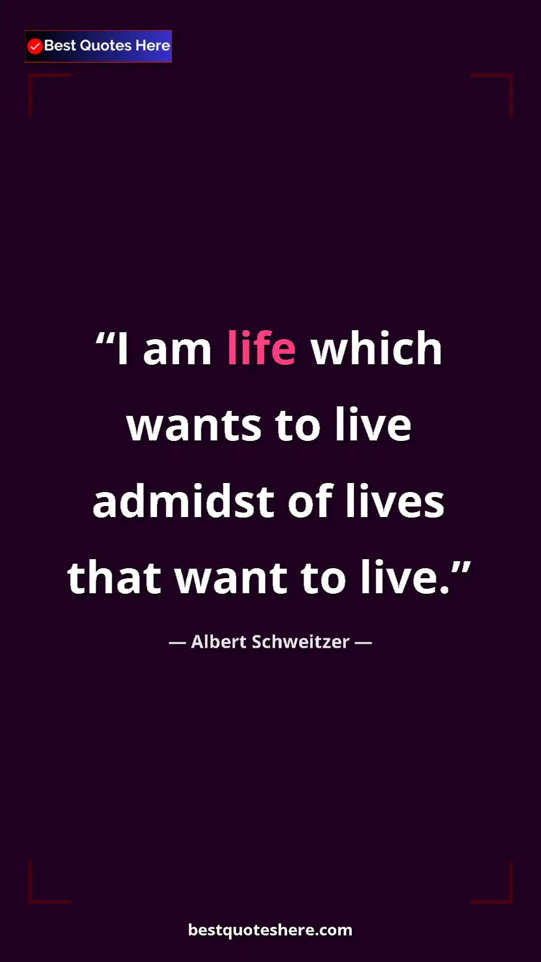 Albert Schweitzer Quote Card: "I am life which wants to live admidst of lives that want to..." Pinterest quote poster by Albert Schweitzer: "I am life which wants to live admidst of lives that want to..."