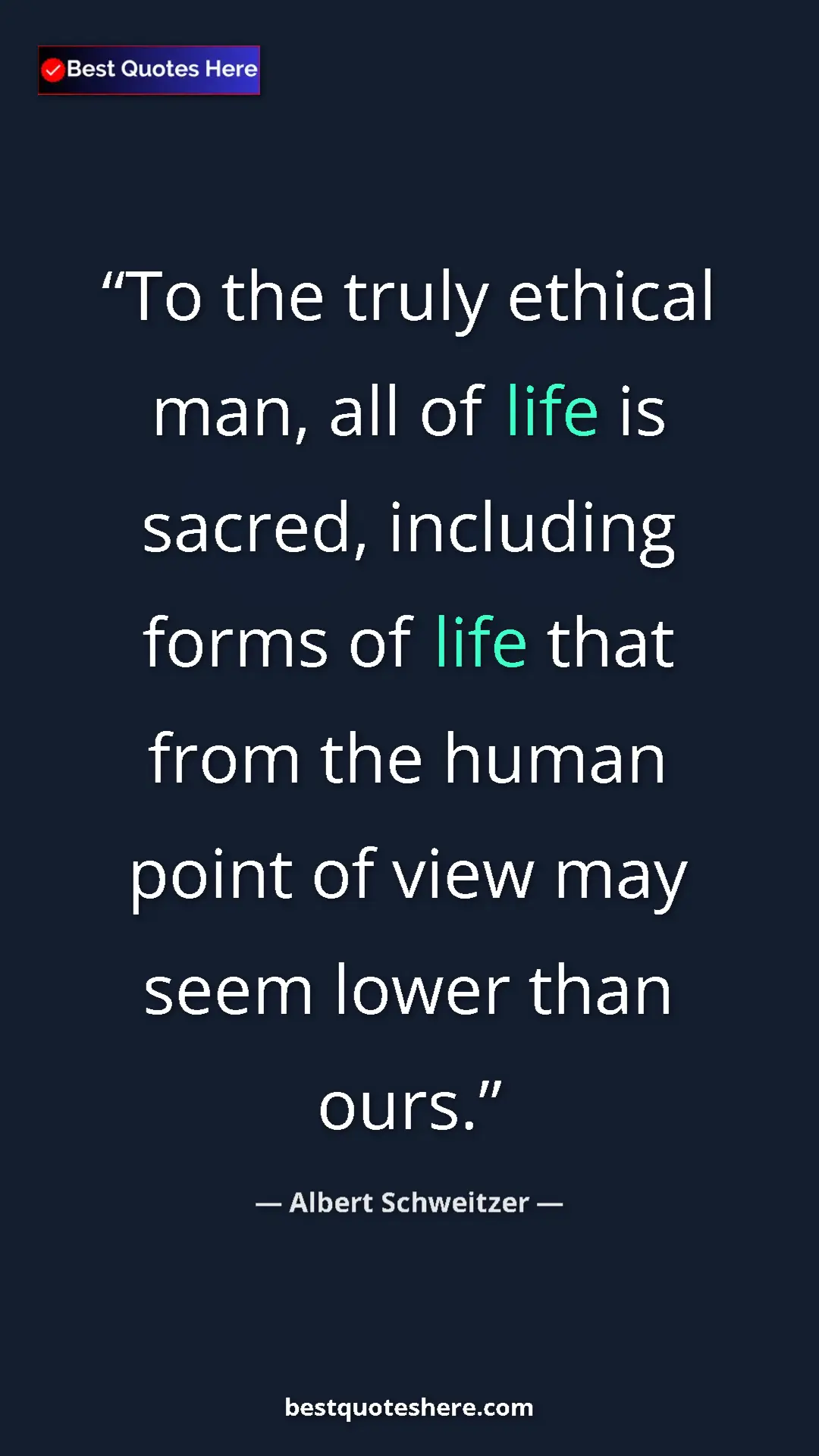 Pinterest quote poster by Albert Schweitzer: "To the truly ethical man, all of life is sacred, including..."