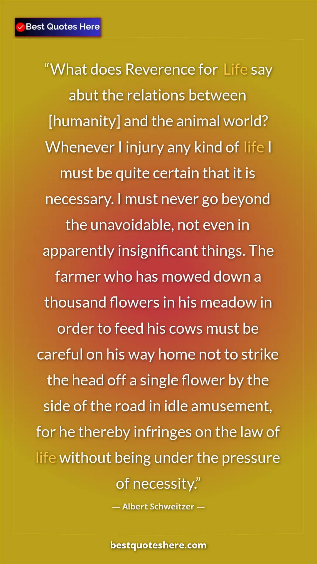 Pinterest quote poster by Albert Schweitzer: "What does Reverence for Life say abut the relations between..."