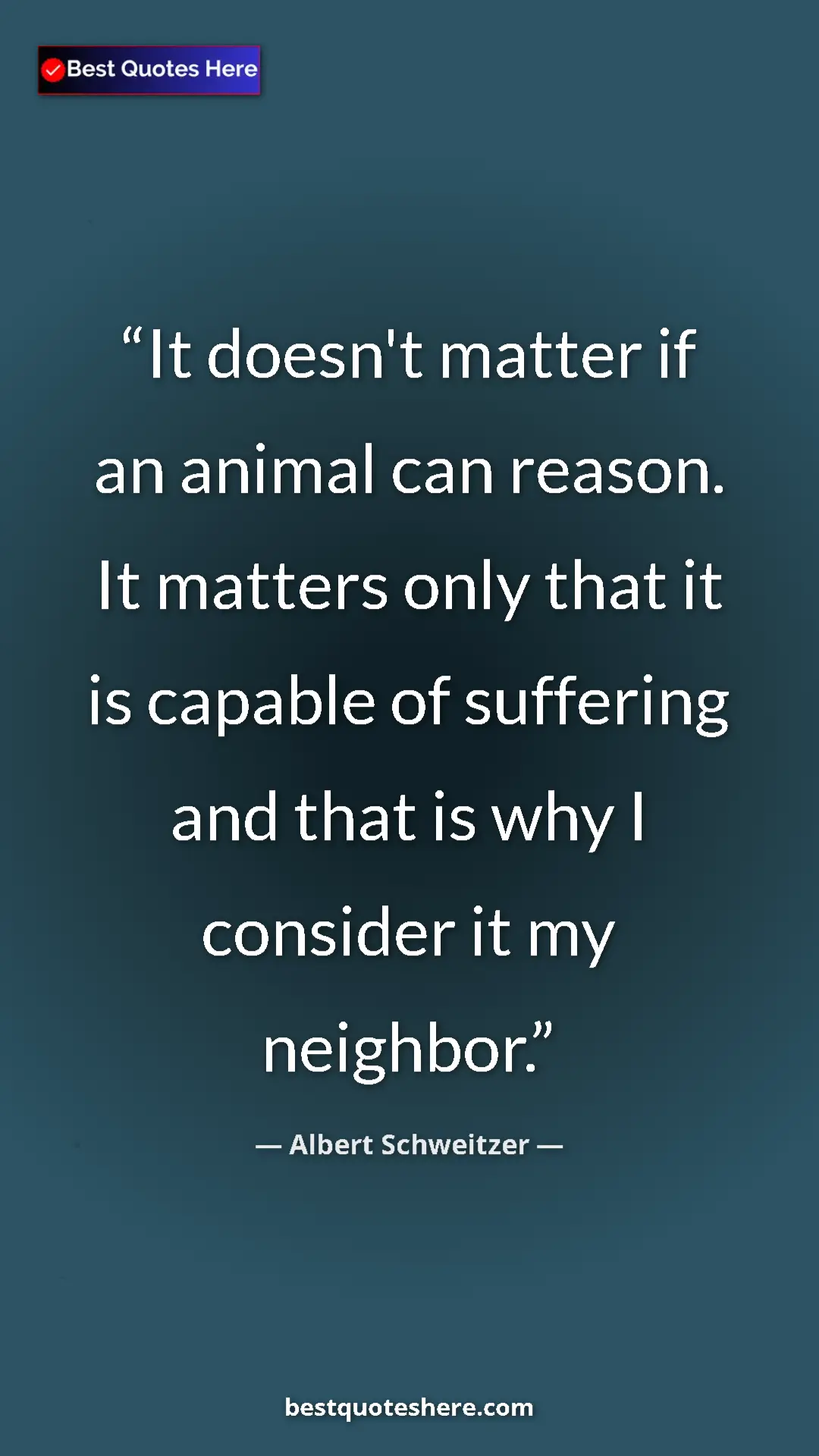 Albert Schweitzer Quote Card: "It doesn't matter if an animal can reason. It matters only..." Pinterest quote poster by Albert Schweitzer: "It doesn't matter if an animal can reason. It matters only..."