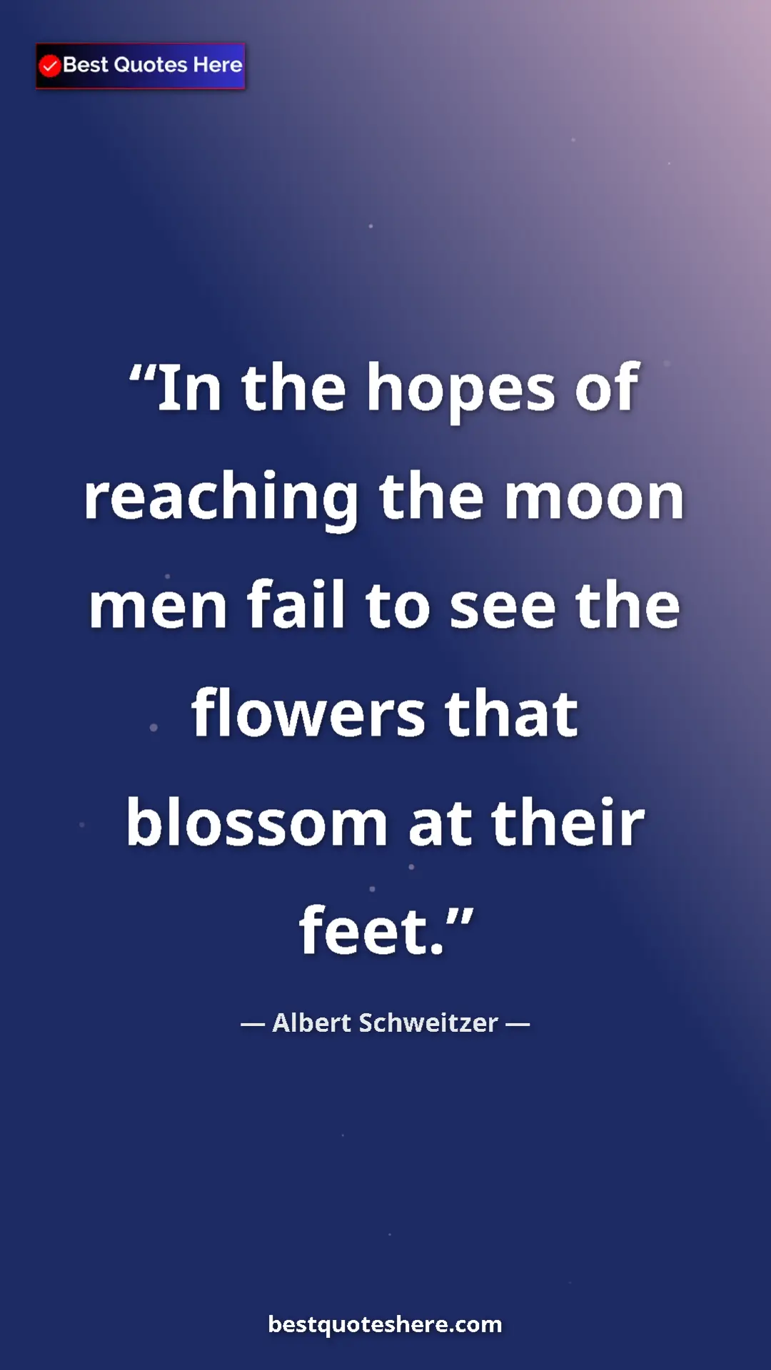Albert Schweitzer Quote Card: "In the hopes of reaching the moon men fail to see the..." Pinterest quote poster by Albert Schweitzer: "In the hopes of reaching the moon men fail to see the..."