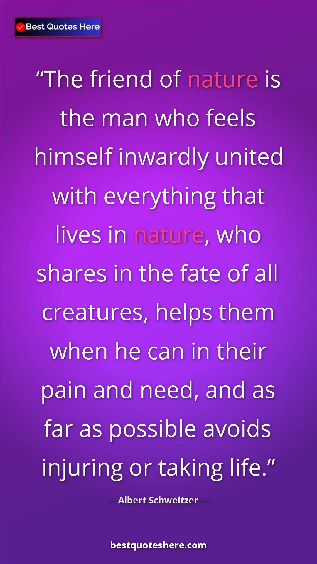 Albert Schweitzer Quote Card: "The friend of nature is the man who feels himself inwardly..." Pinterest quote poster by Albert Schweitzer: "The friend of nature is the man who feels himself inwardly..."