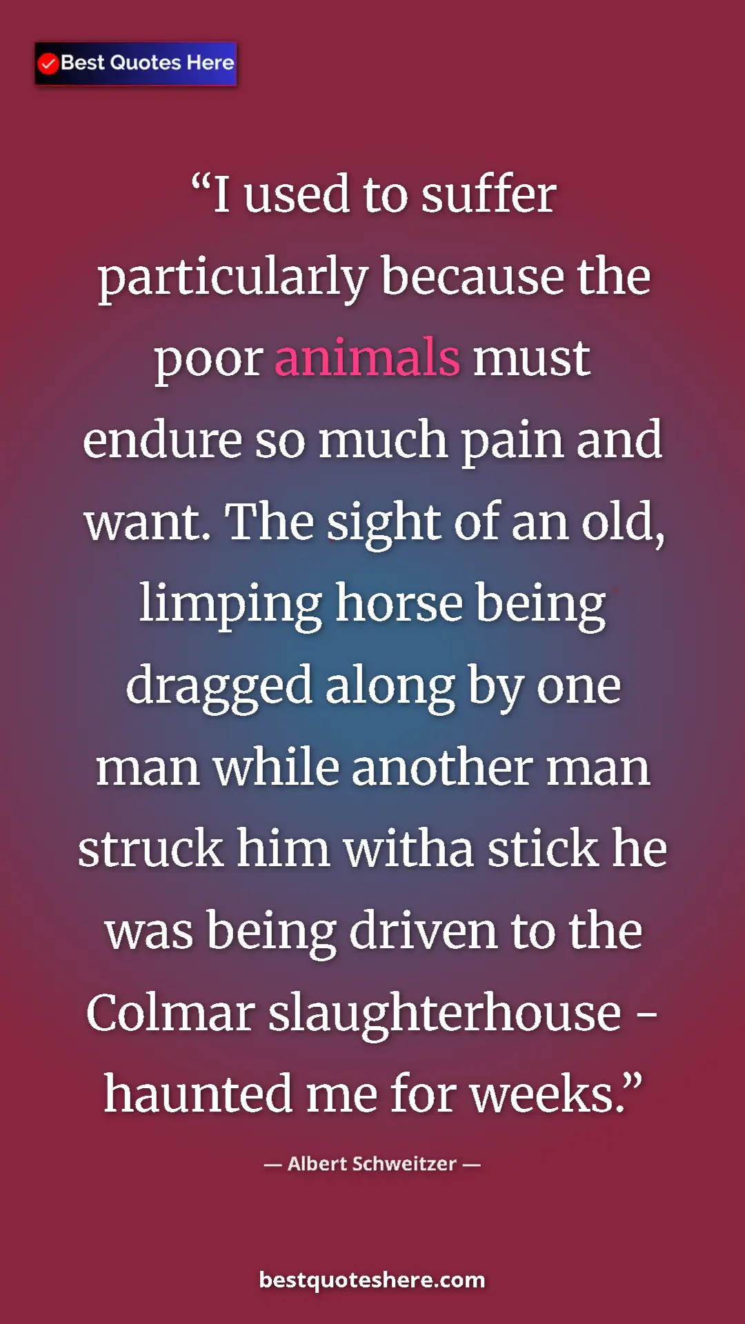 Albert Schweitzer Quote Card: "I used to suffer particularly because the poor animals must..." Pinterest quote poster by Albert Schweitzer: "I used to suffer particularly because the poor animals must..."