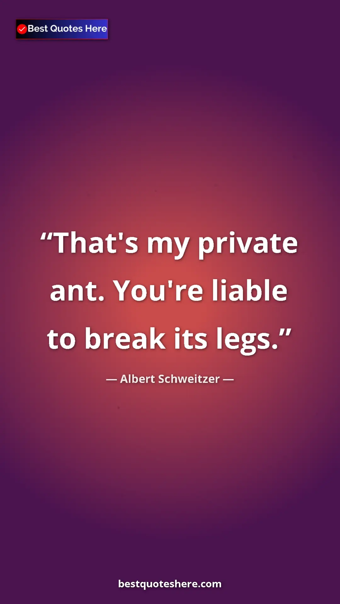 Albert Schweitzer Quote Card: "That's my private ant. You're liable to break its legs." Pinterest quote poster by Albert Schweitzer: "That's my private ant. You're liable to break its legs."
