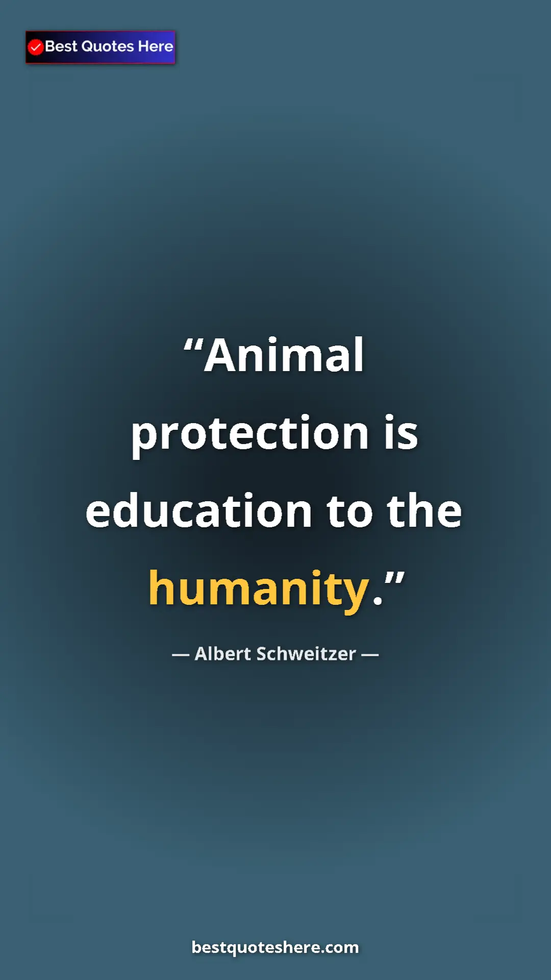 Albert Schweitzer Quote Card: "Animal protection is education to the humanity." Pinterest quote poster by Albert Schweitzer: "Animal protection is education to the humanity."