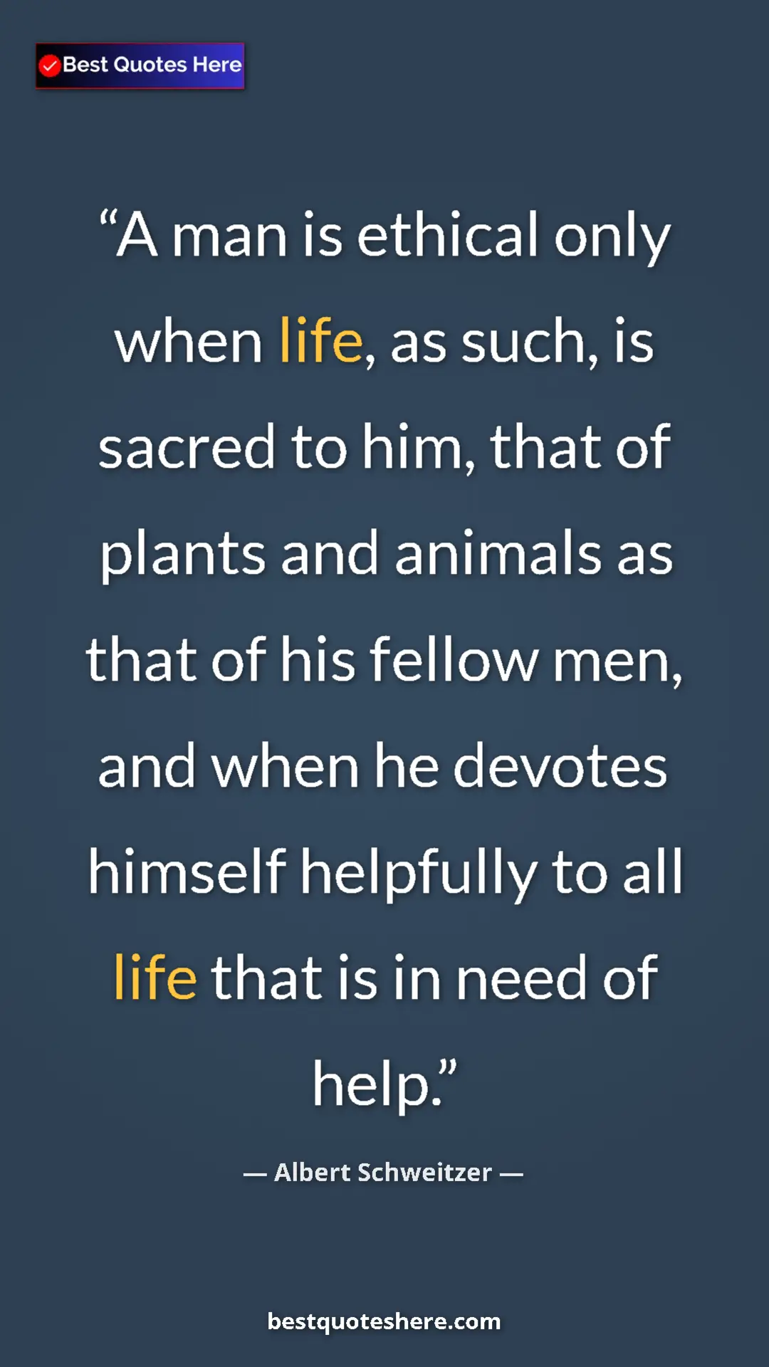 Albert Schweitzer Quote Card: "A man is ethical only when life, as such, is sacred to him,..." Pinterest quote poster by Albert Schweitzer: "A man is ethical only when life, as such, is sacred to him,..."