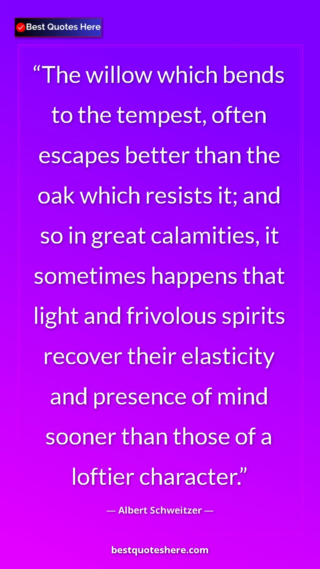 Albert Schweitzer Quote Card: "The willow which bends to the tempest, often escapes better..." Pinterest quote poster by Albert Schweitzer: "The willow which bends to the tempest, often escapes better..."