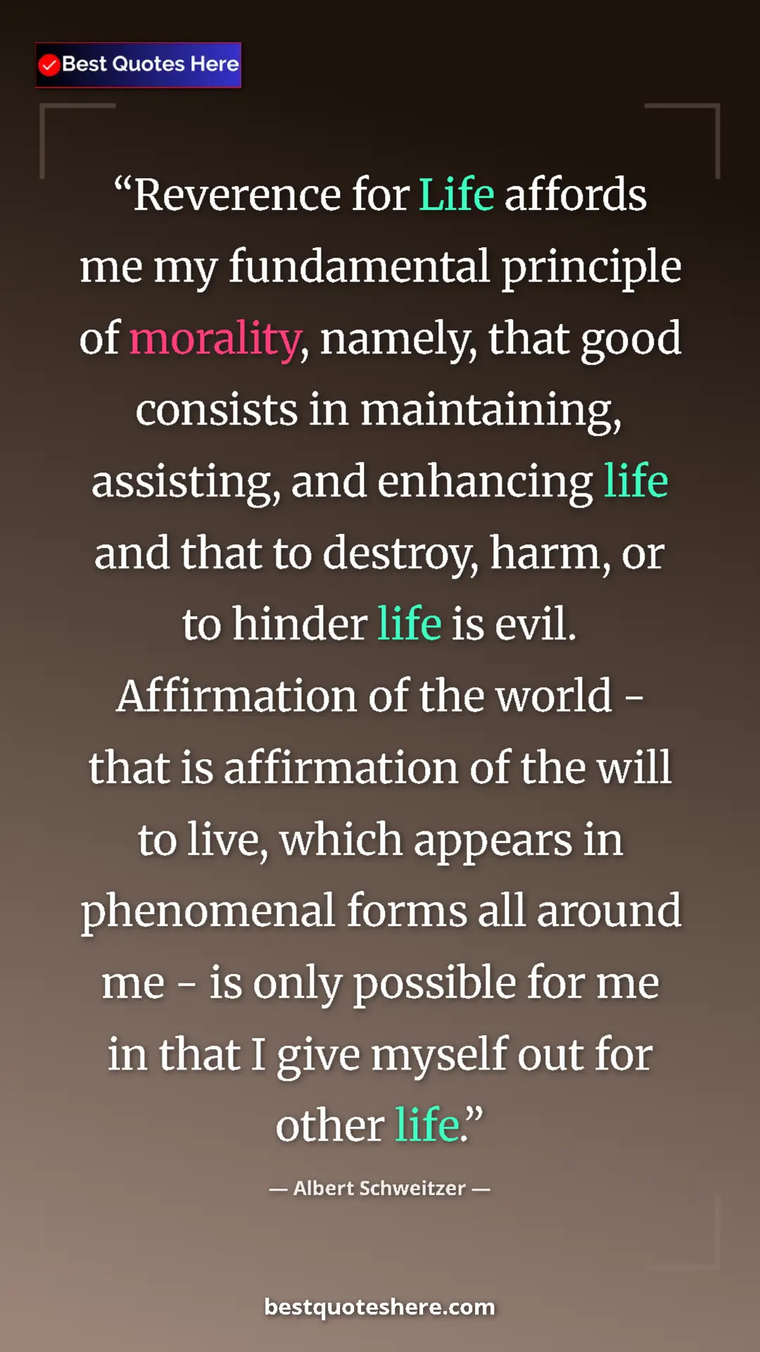 Pinterest quote poster by Albert Schweitzer: "Reverence for Life affords me my fundamental principle of..."