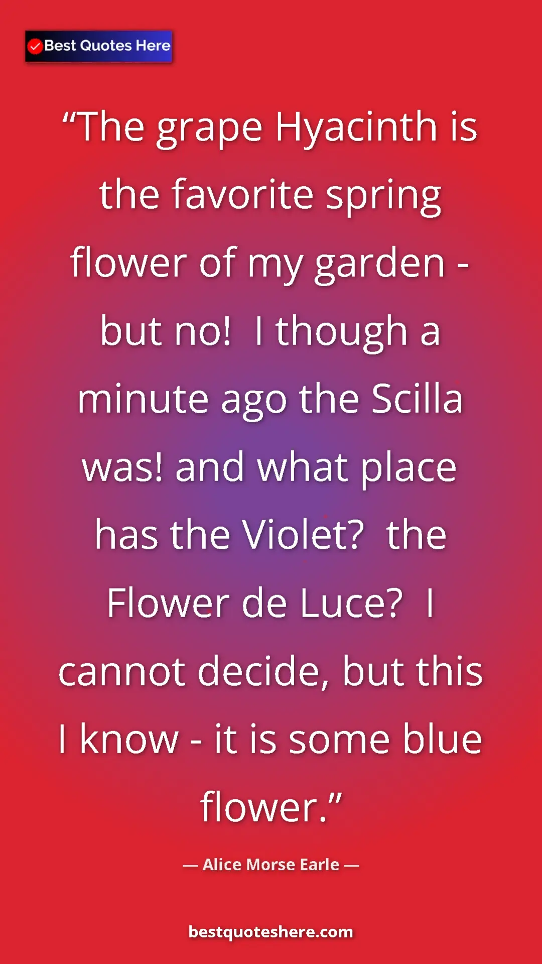 Pinterest quote poster by Alice Morse Earle: "The grape Hyacinth is the favorite spring flower of my..."
