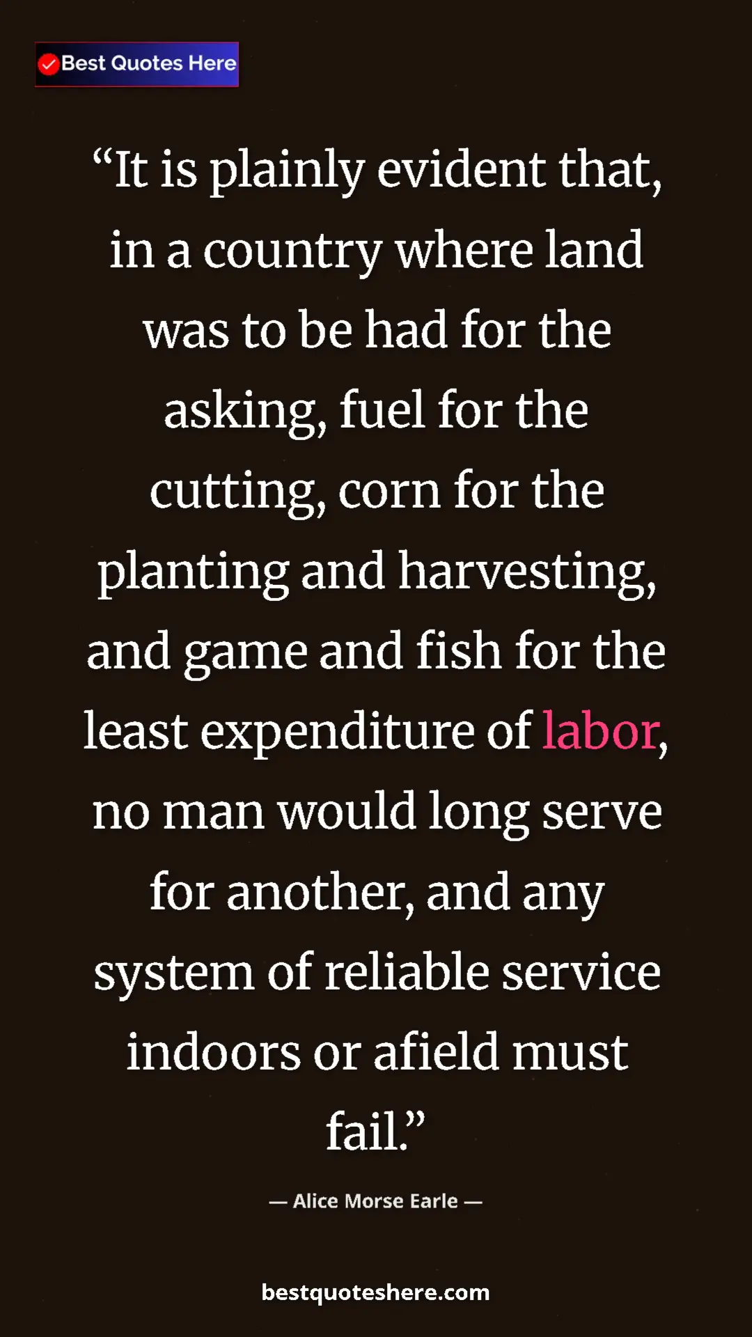 Alice Morse Earle Quote Card: "It is plainly evident that, in a country where land was to..." Pinterest quote poster by Alice Morse Earle: "It is plainly evident that, in a country where land was to..."