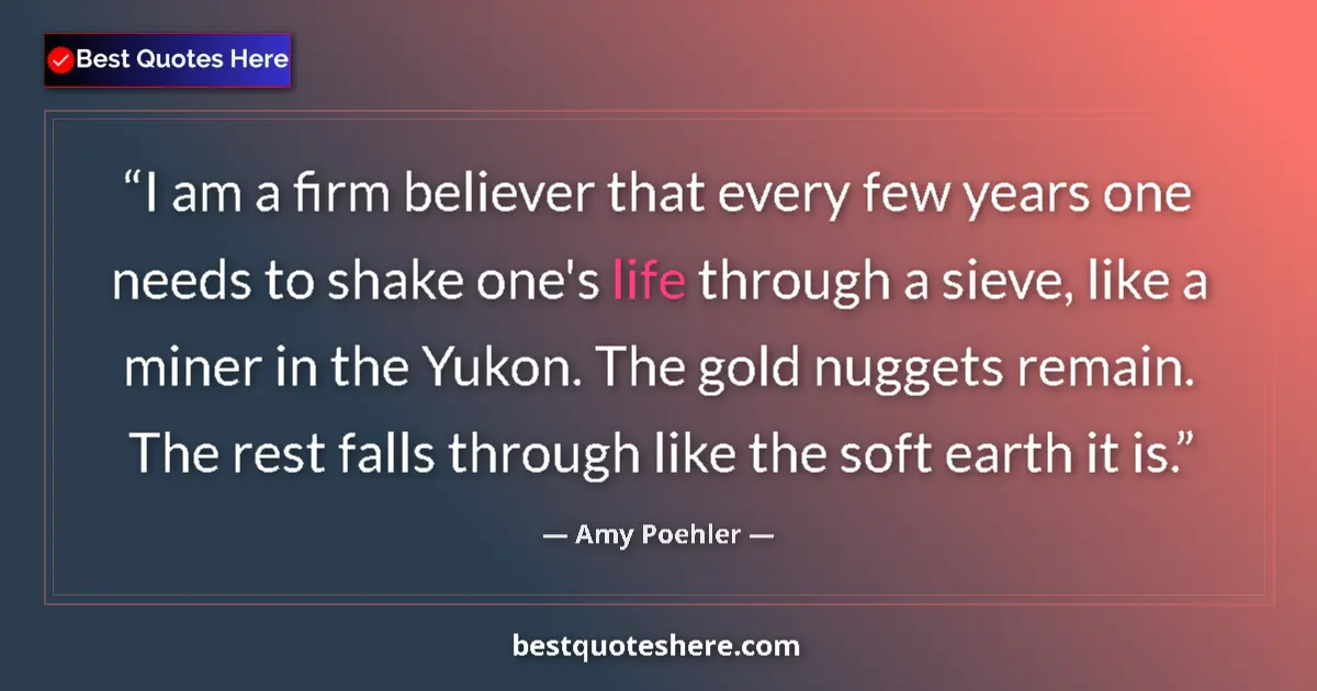 Quote by Amy Poehler: I am a firm believer that every few years one needs to shake one's life through a sieve, like a mine...