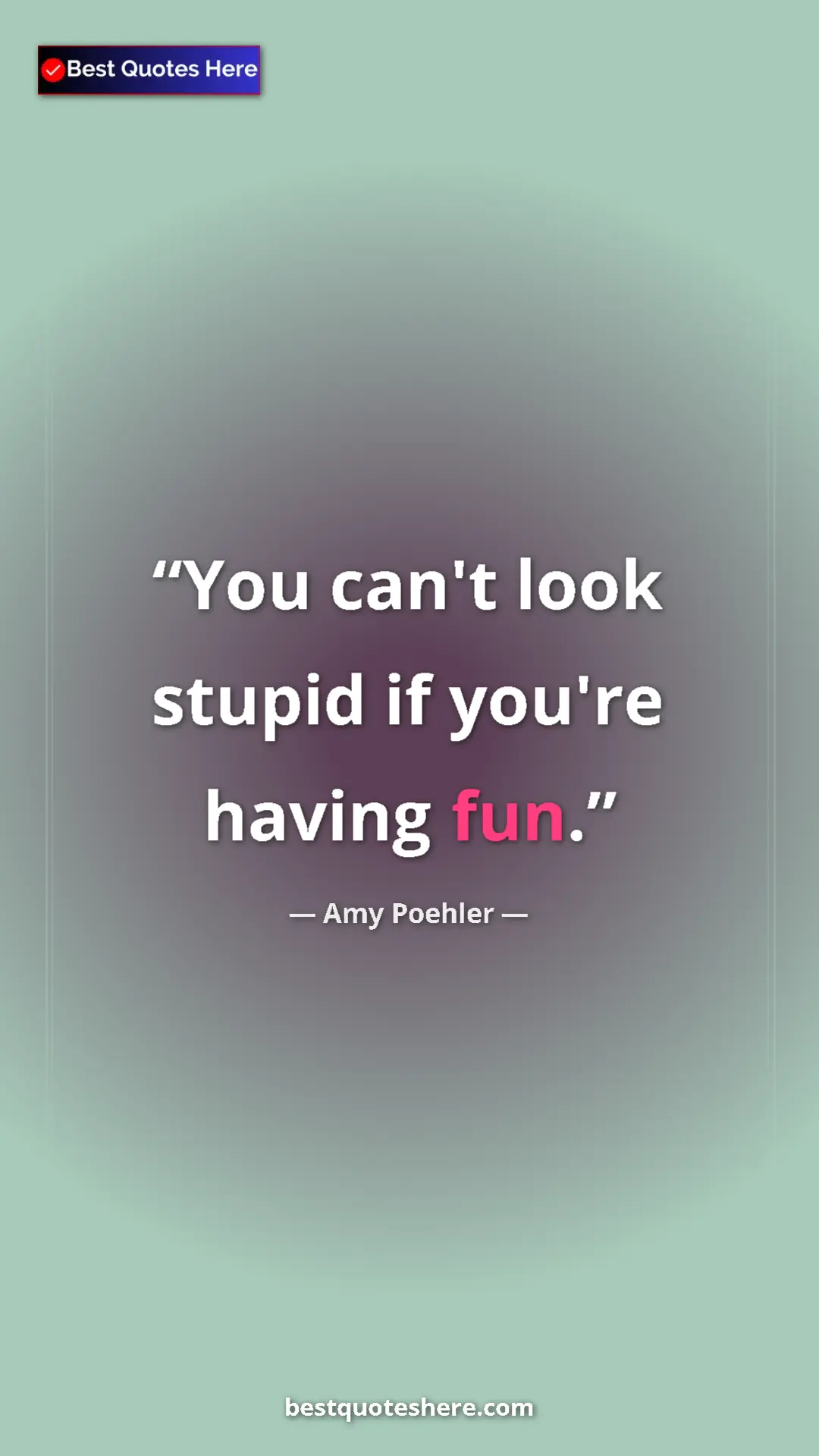 Amy Poehler Quote Card: "You can't look stupid if you're having fun." Pinterest quote poster by Amy Poehler: "You can't look stupid if you're having fun."