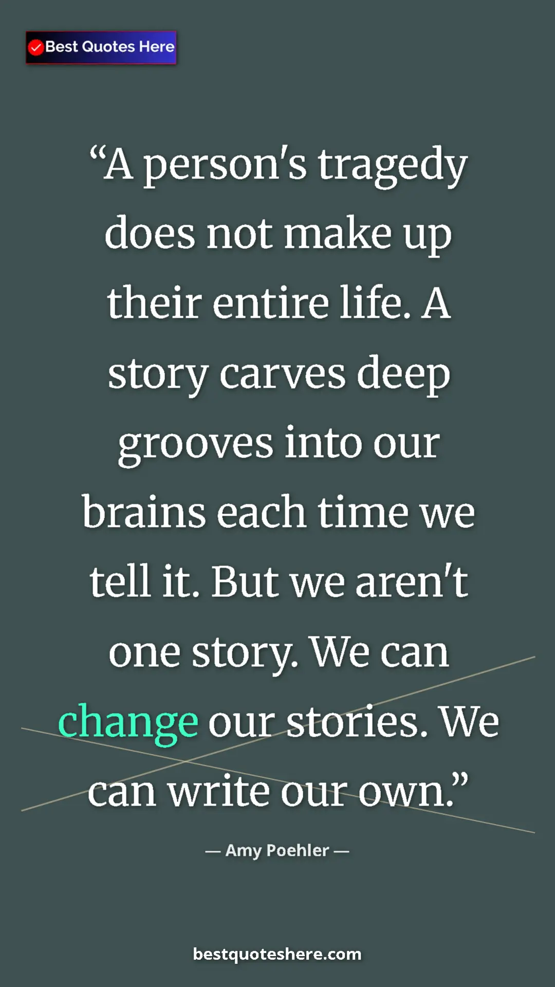 Pinterest quote poster by Amy Poehler: "A person's tragedy does not make up their entire life. A..."
