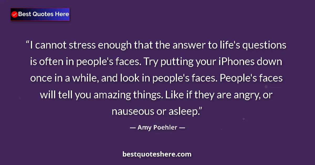 Quote by Amy Poehler: I cannot stress enough that the answer to life's questions is often in people's faces. Try putting y...