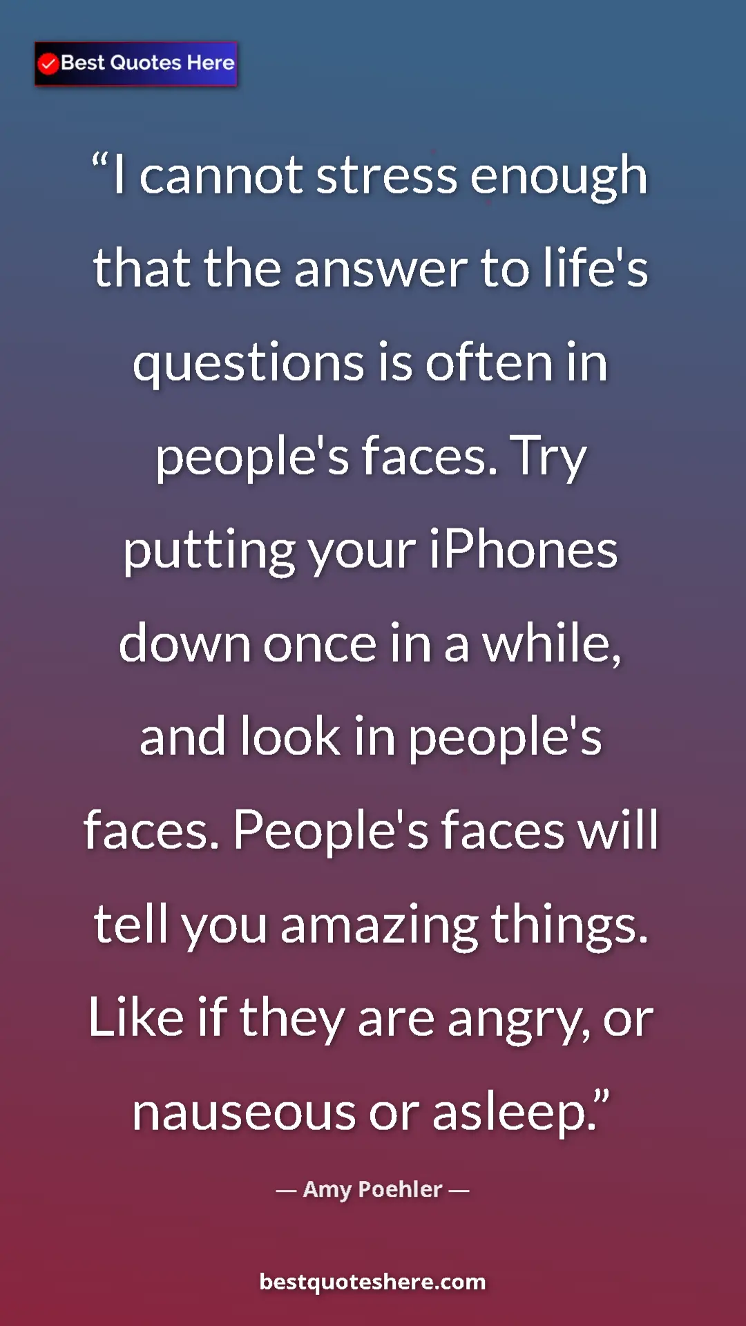 Amy Poehler Quote Card: "I cannot stress enough that the answer to life's questions..." Pinterest quote poster by Amy Poehler: "I cannot stress enough that the answer to life's questions..."