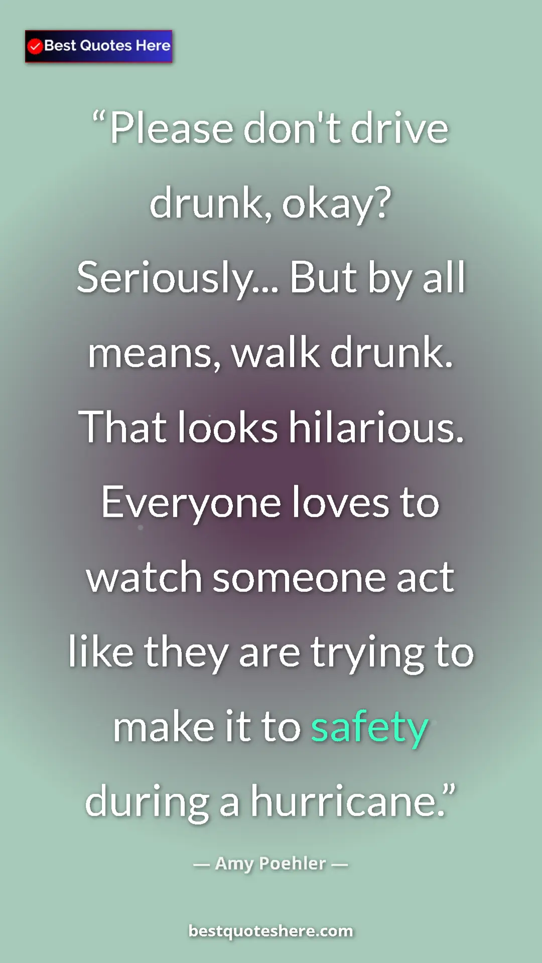 Pinterest quote poster by Amy Poehler: "Please don't drive drunk, okay? Seriously... But by all..."