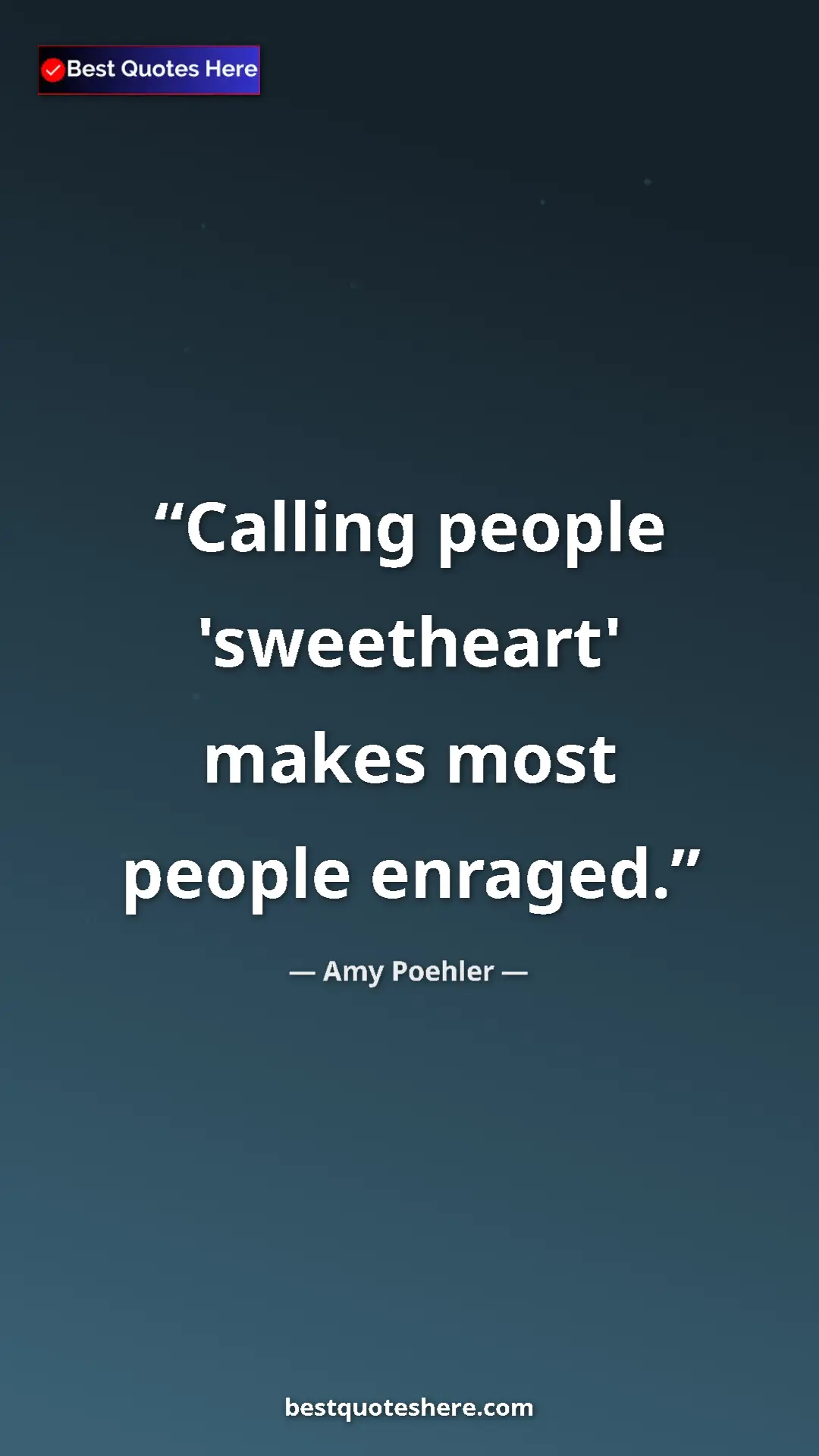 Pinterest quote poster by Amy Poehler: "Calling people 'sweetheart' makes most people enraged."