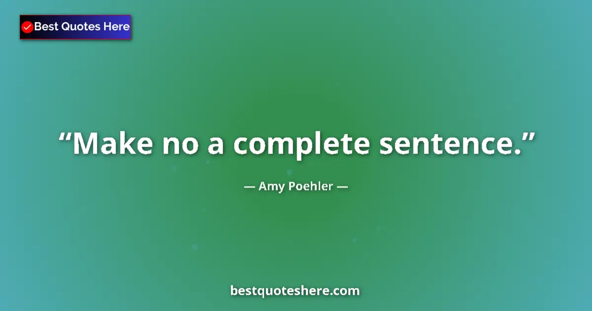 Quote by Amy Poehler: Make no a complete sentence....