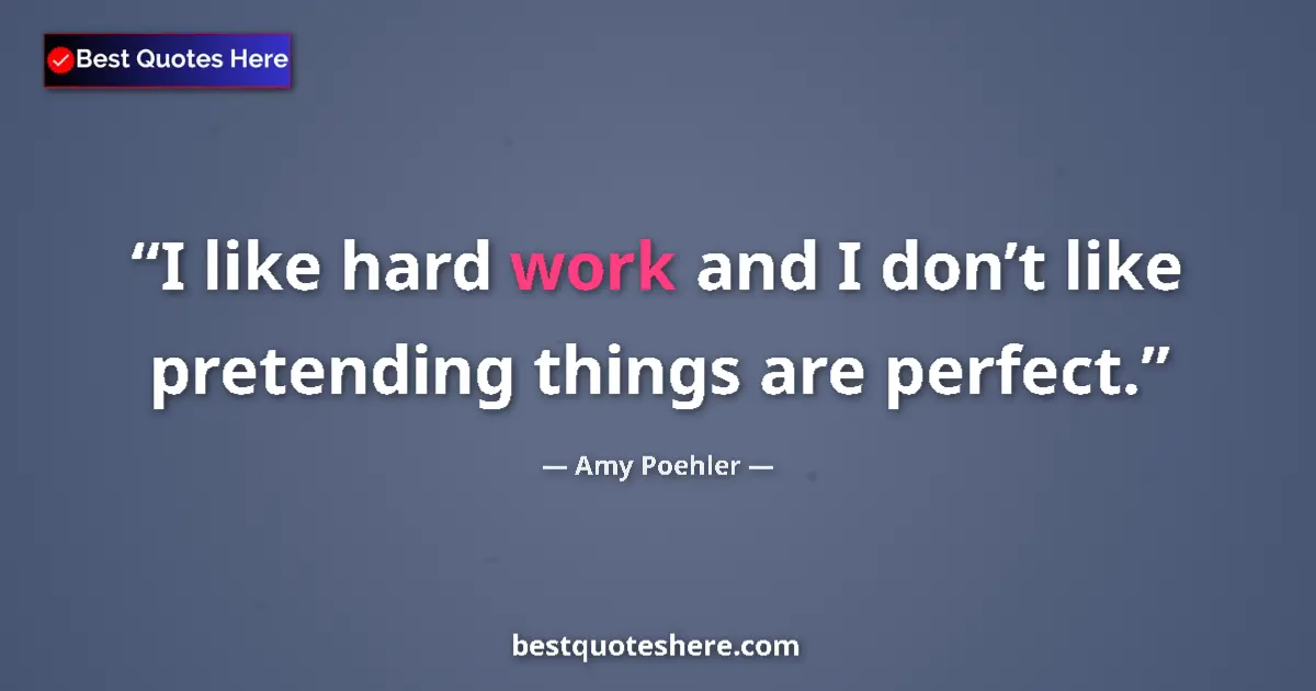 Quote by Amy Poehler: I like hard work and I don’t like pretending things are perfect....