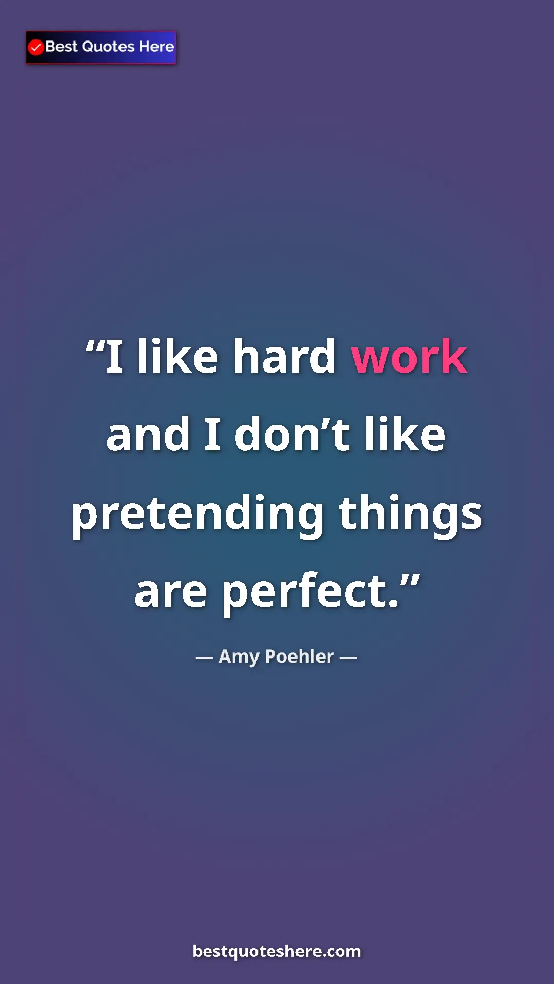 Pinterest quote poster by Amy Poehler: "I like hard work and I don’t like pretending things are perf"