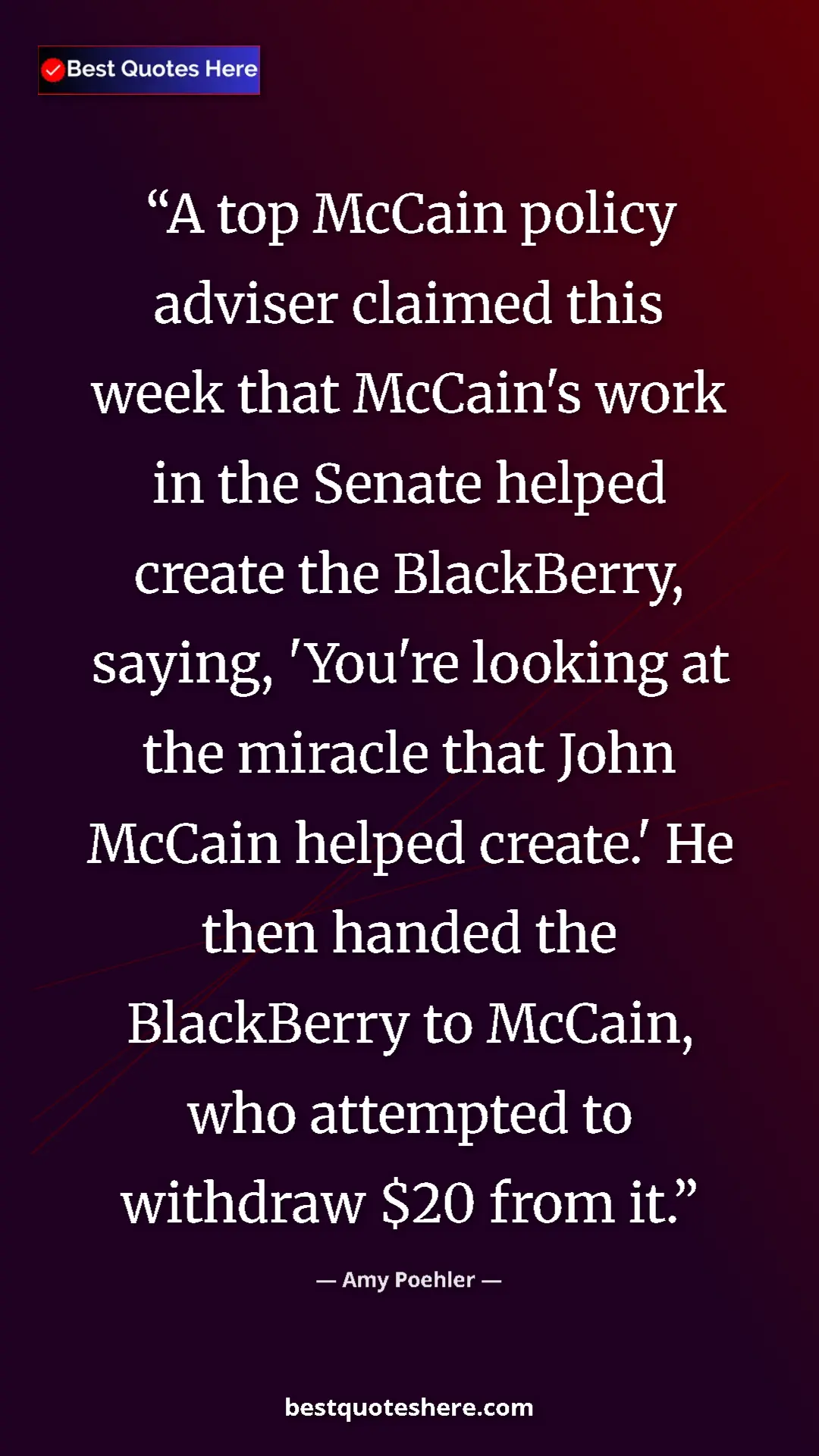 Pinterest quote poster by Amy Poehler: "A top McCain policy adviser claimed this week that McCain's..."