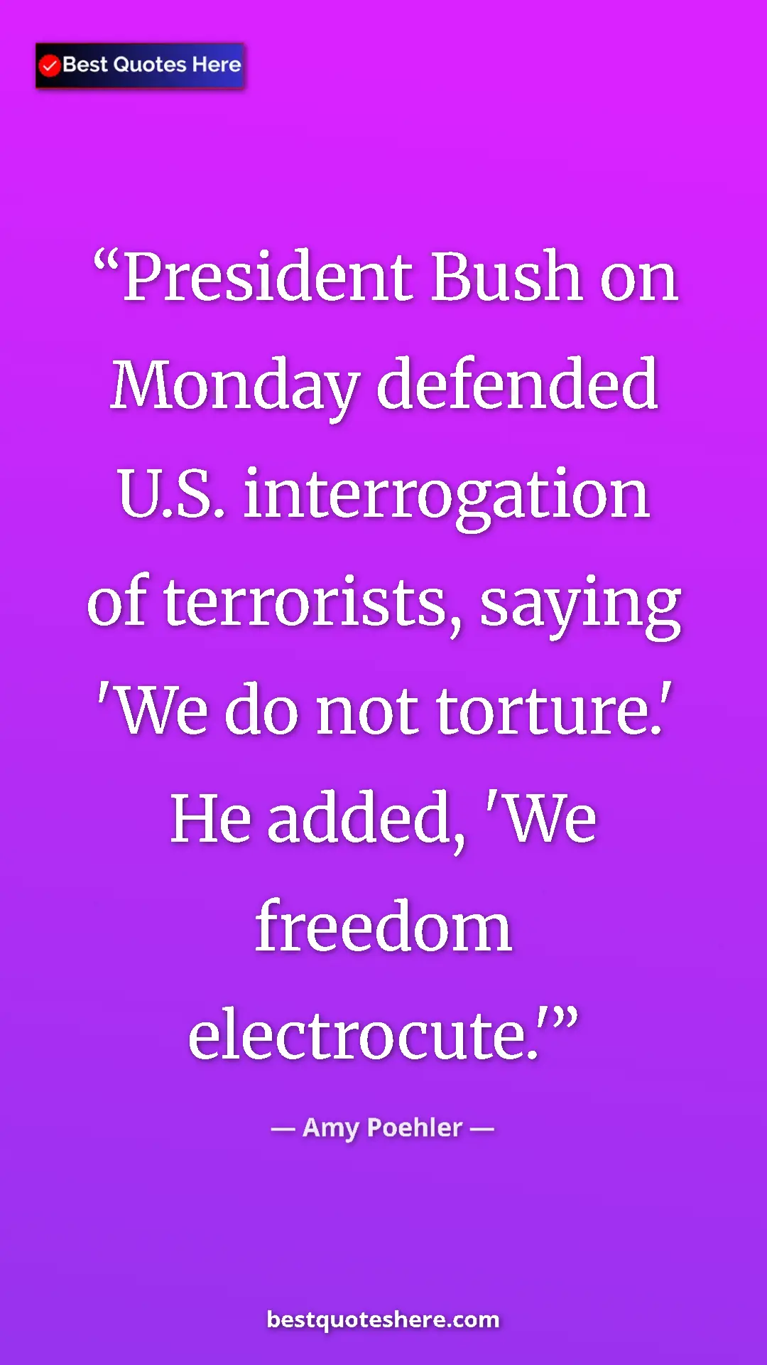 Pinterest quote poster by Amy Poehler: "President Bush on Monday defended U.S. interrogation of..."