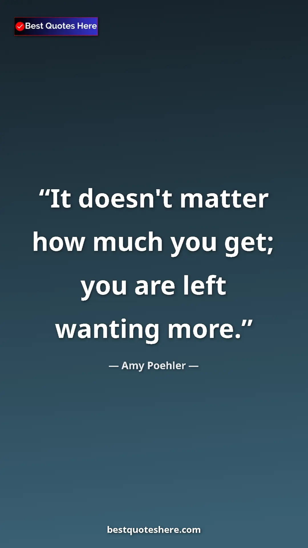 Pinterest quote poster by Amy Poehler: "It doesn't matter how much you get; you are left wanting..."