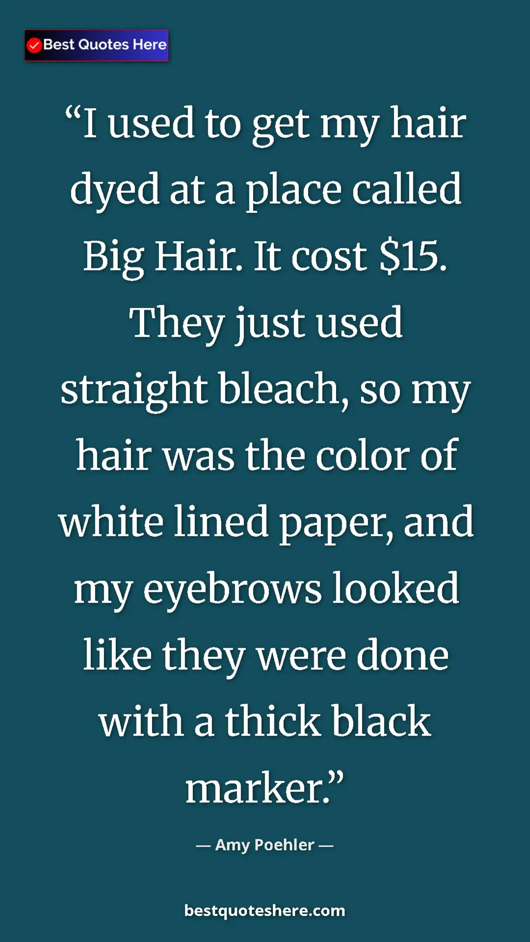 Pinterest quote poster by Amy Poehler: "I used to get my hair dyed at a place called Big Hair. It co"