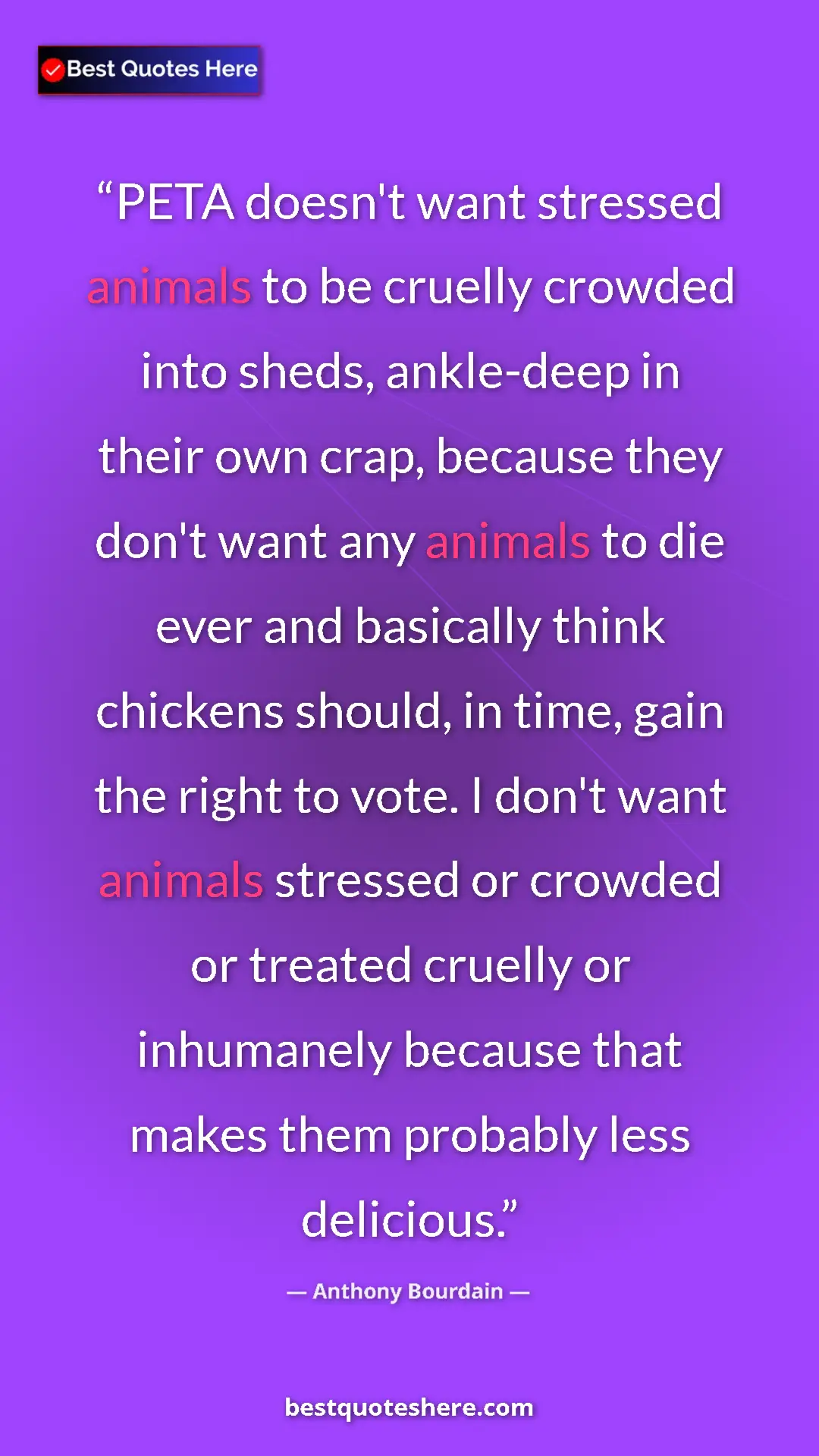 Anthony Bourdain Quote Card: "PETA doesn't want stressed animals to be cruelly crowded..." Pinterest quote poster by Anthony Bourdain: "PETA doesn't want stressed animals to be cruelly crowded..."