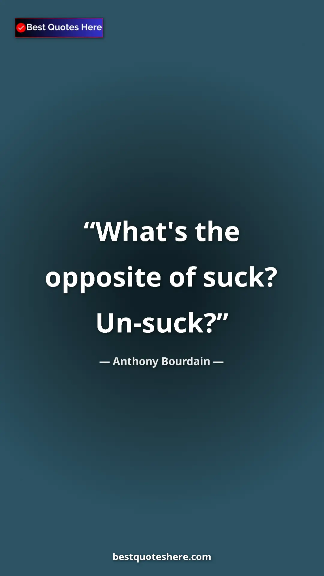 Pinterest quote poster by Anthony Bourdain: "What's the opposite of suck? Un-suck?"