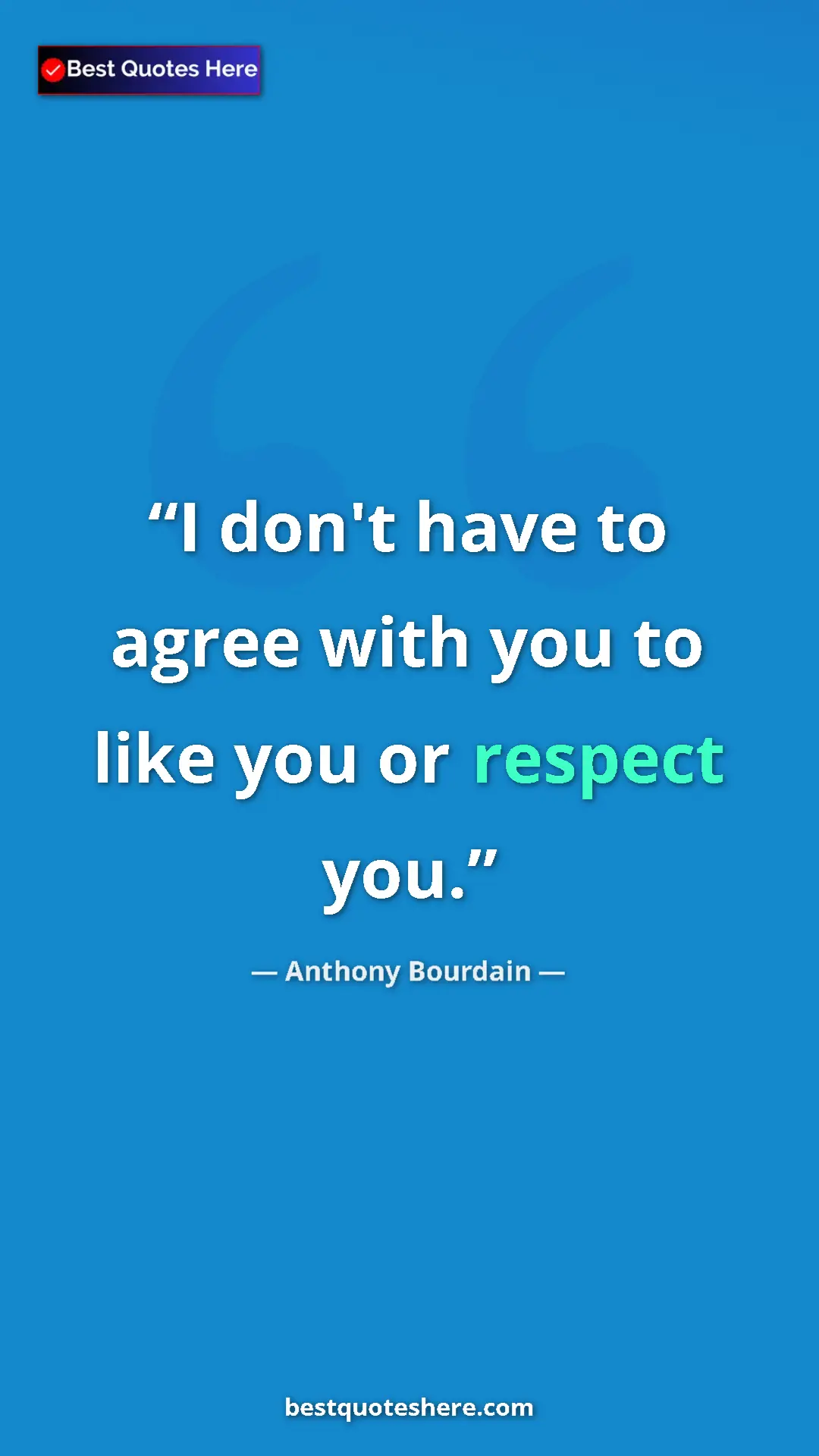 Pinterest quote poster by Anthony Bourdain: "I don't have to agree with you to like you or respect you."