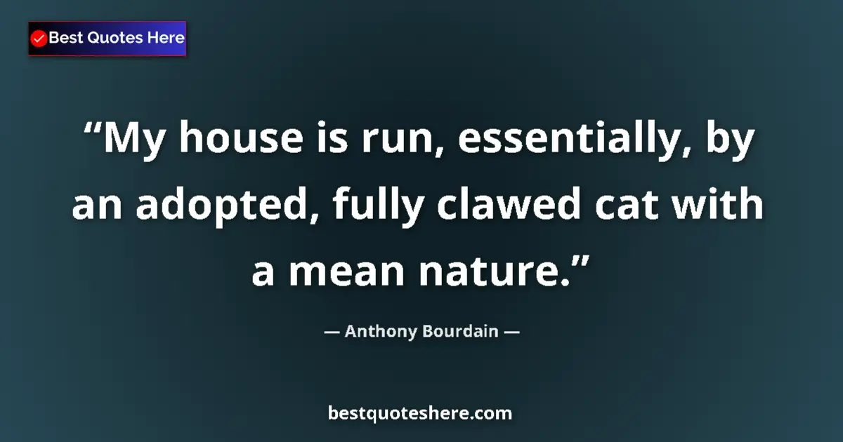 Quote by Anthony Bourdain: My house is run, essentially, by an adopted, fully clawed cat with a mean nature....
