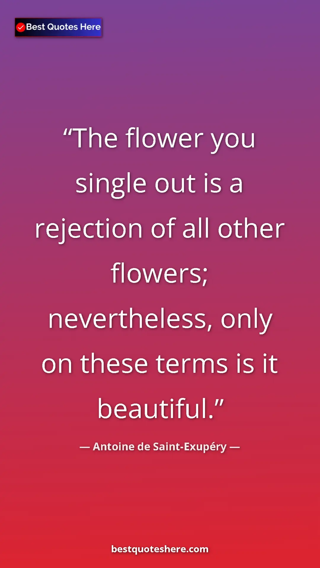 Pinterest quote poster by Antoine de Saint-Exupéry: "The flower you single out is a rejection of all other..."