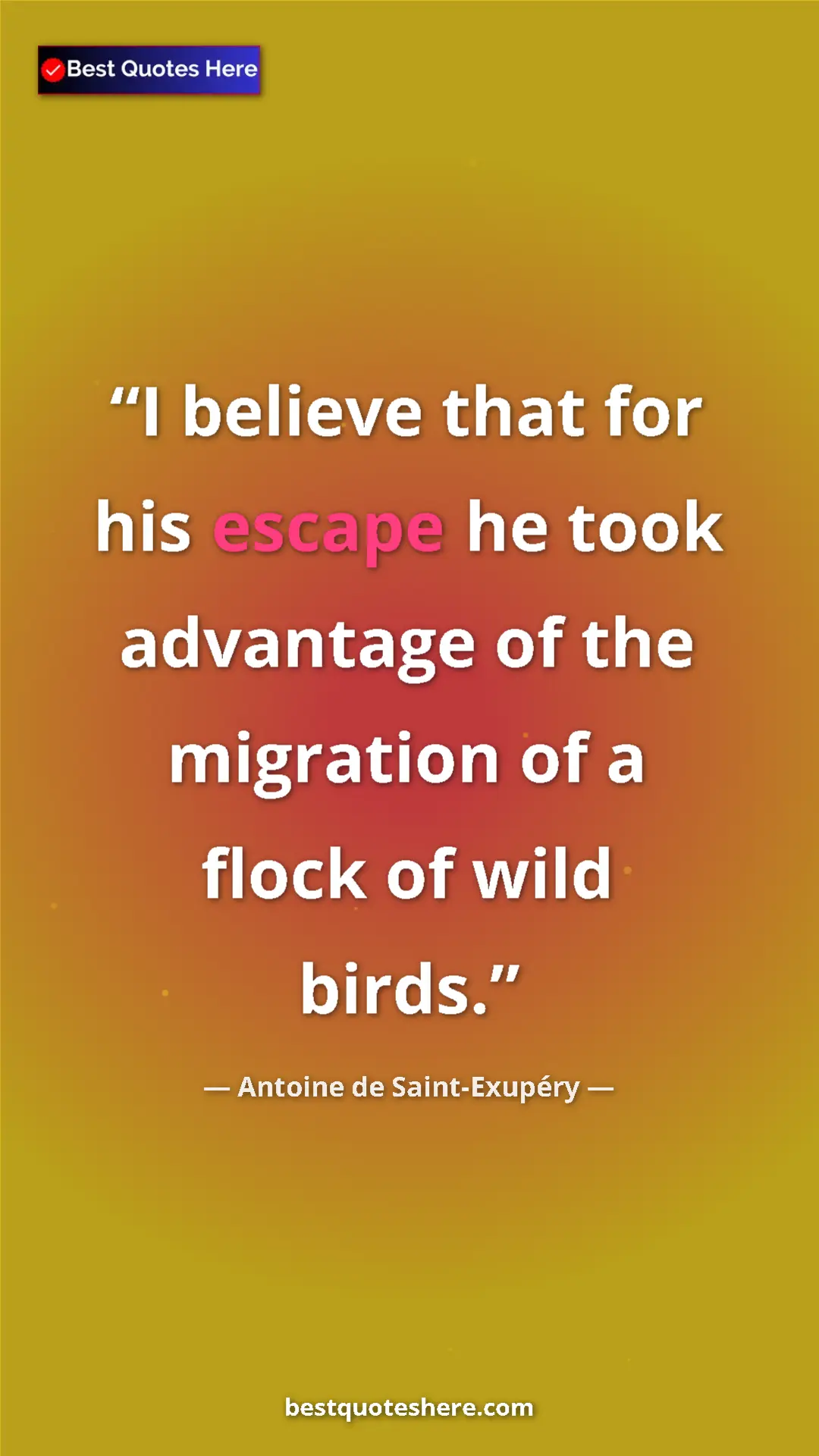 Pinterest quote poster by Antoine de Saint-Exupéry: "I believe that for his escape he took advantage of the..."