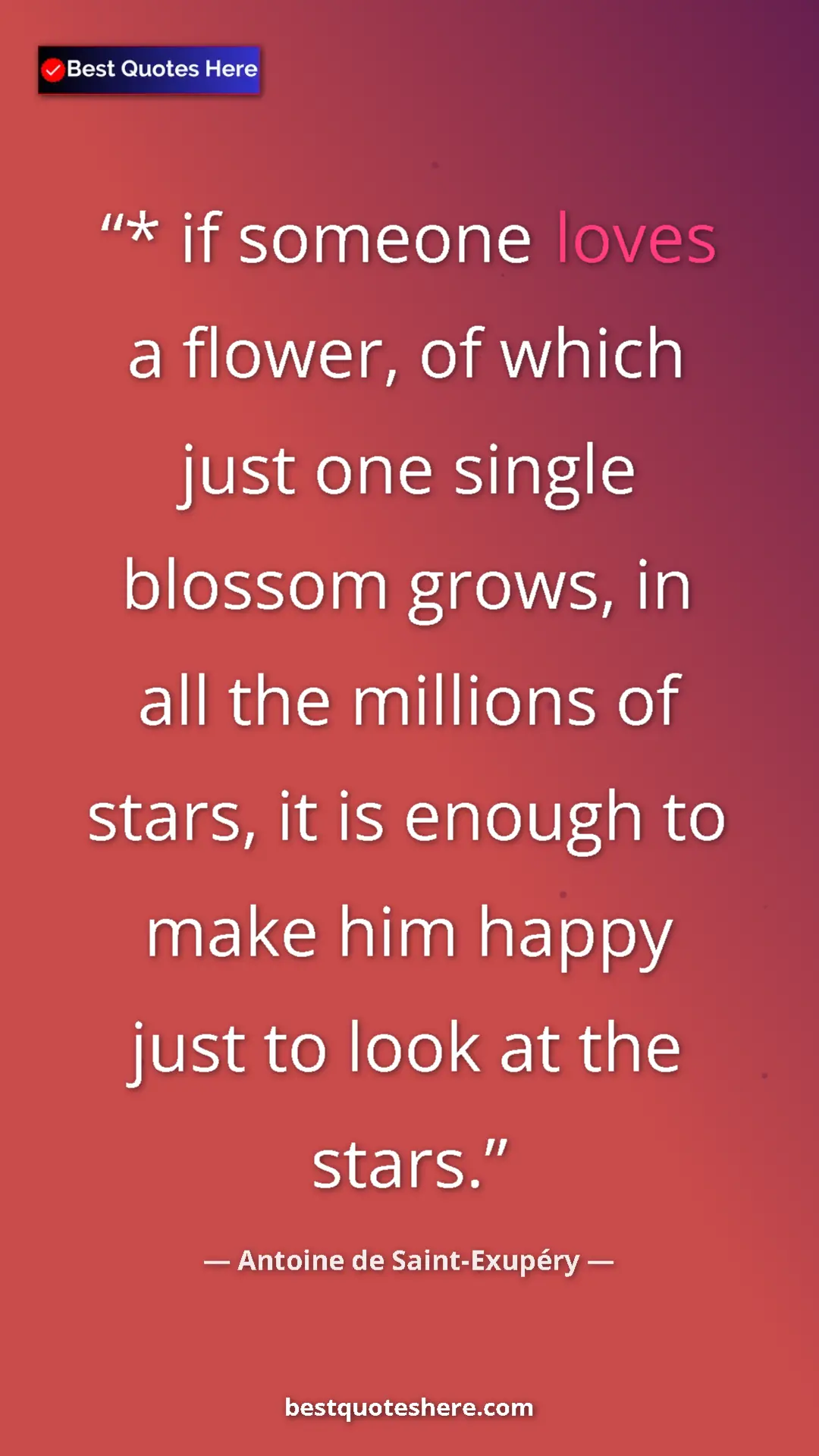 Pinterest quote poster by Antoine de Saint-Exupéry: "* if someone loves a flower, of which just one single..."