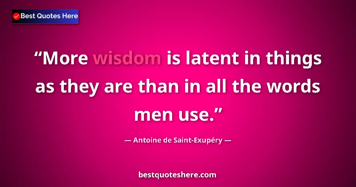 Image for the quote by Antoine De Saint Exupery: More wisdom is latent in things as they are than in all the words men use....