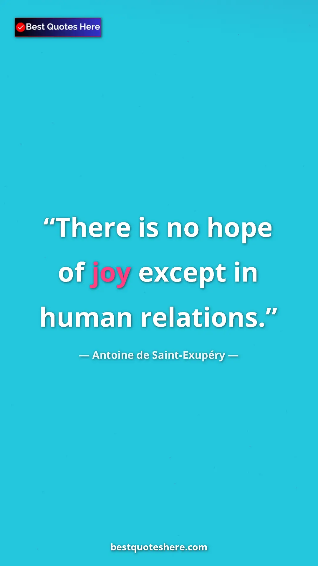 Pinterest quote poster by Antoine de Saint-Exupéry: "There is no hope of joy except in human relations."